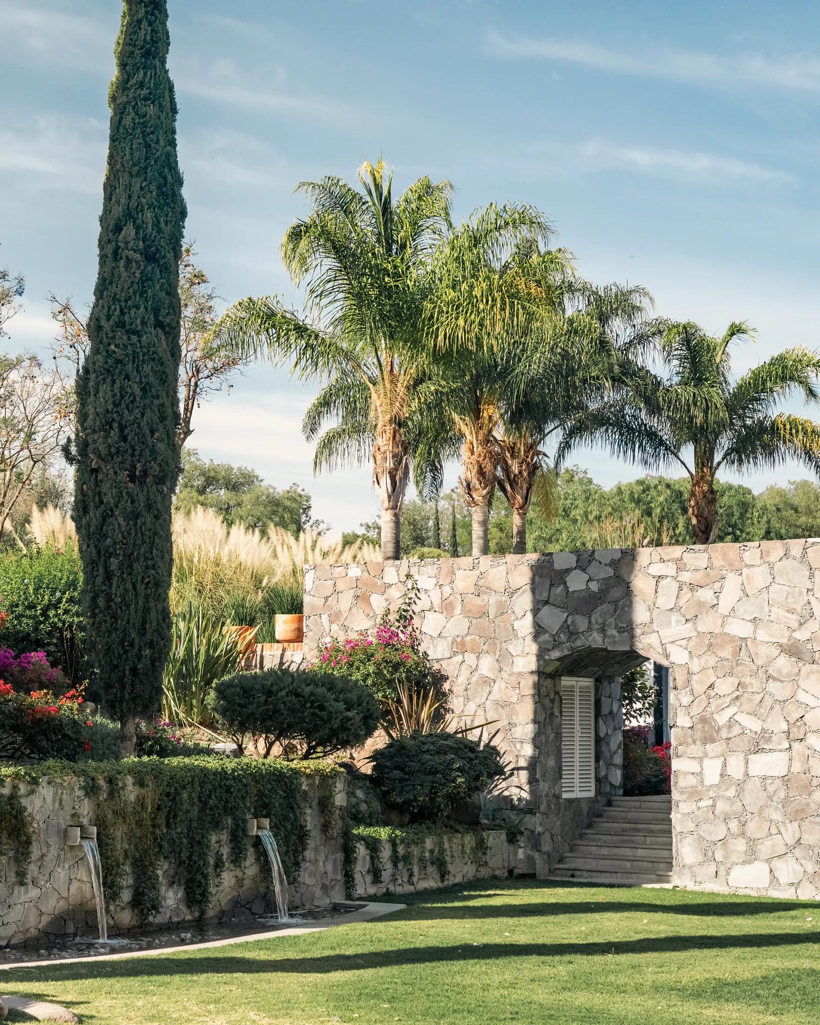 A garden featuring two cascading waterfalls with a small vine-covered wall, surrounded by lush plants, a pine tree, and palm trees. 