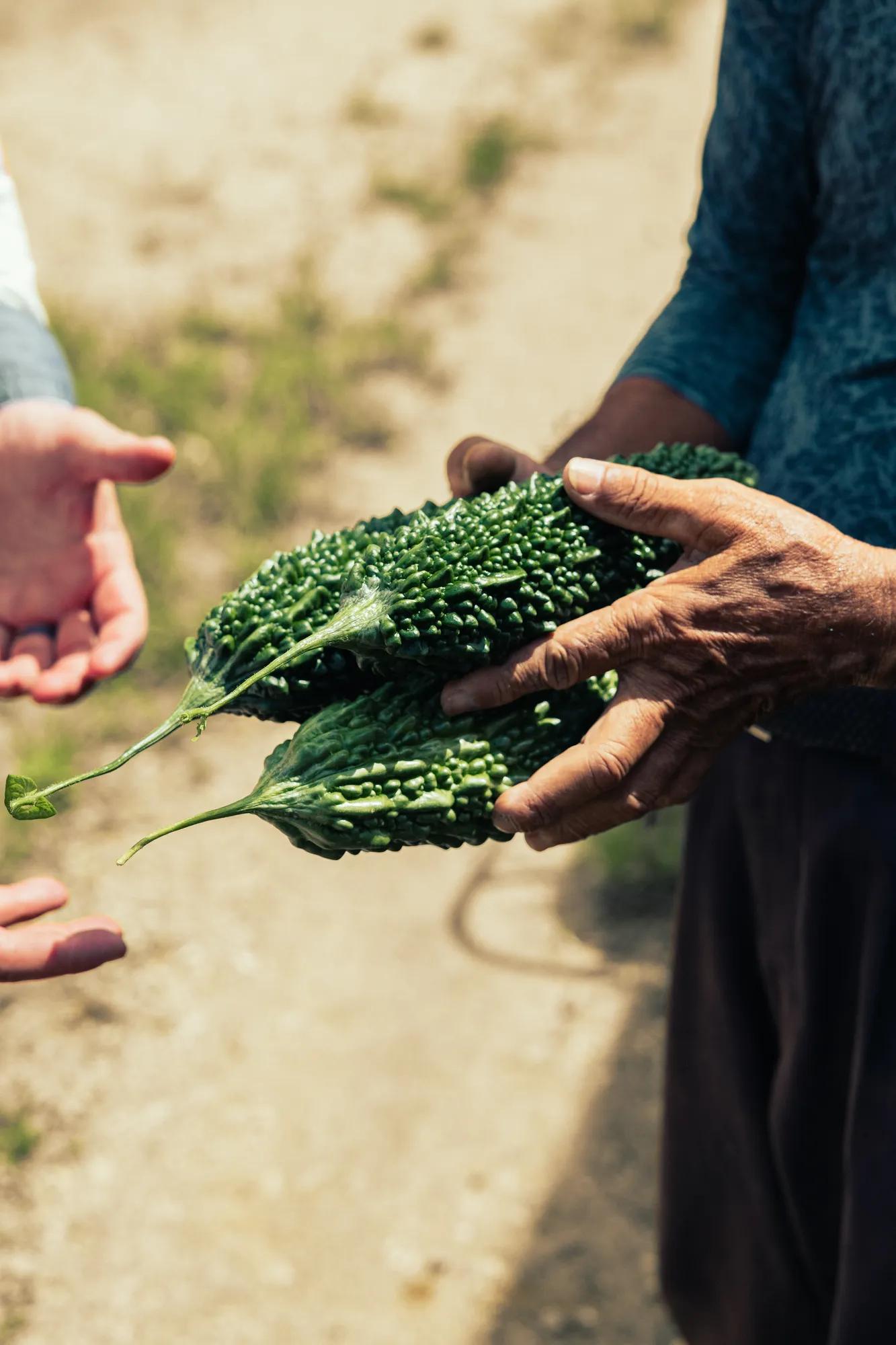 Discover the Secret to Longevity on a Curated Island Food Journey