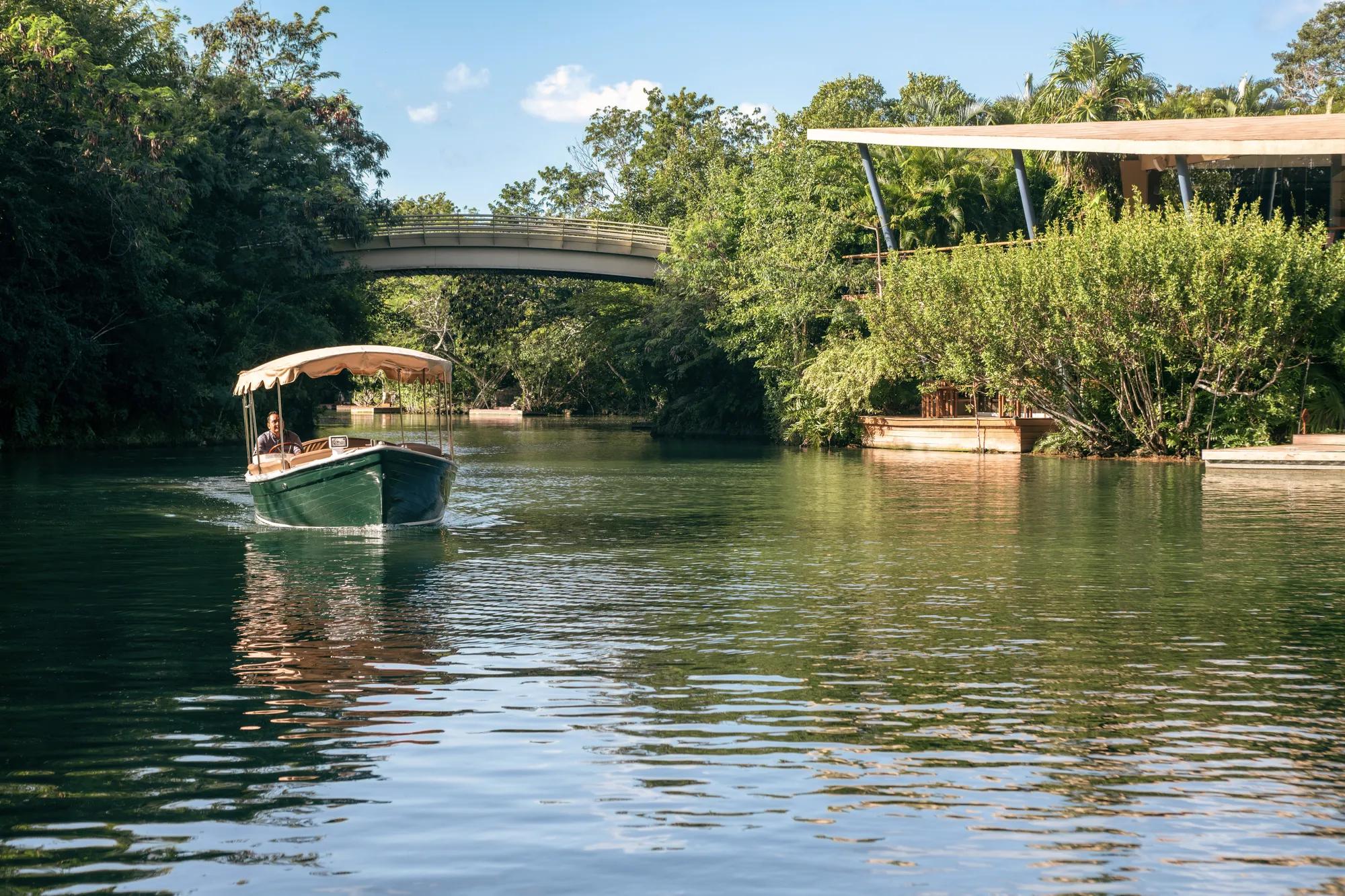 Eco-boat navigating through the lagoon, surrounded by mangroves, with Agave Azul restaurant visible on the right side.