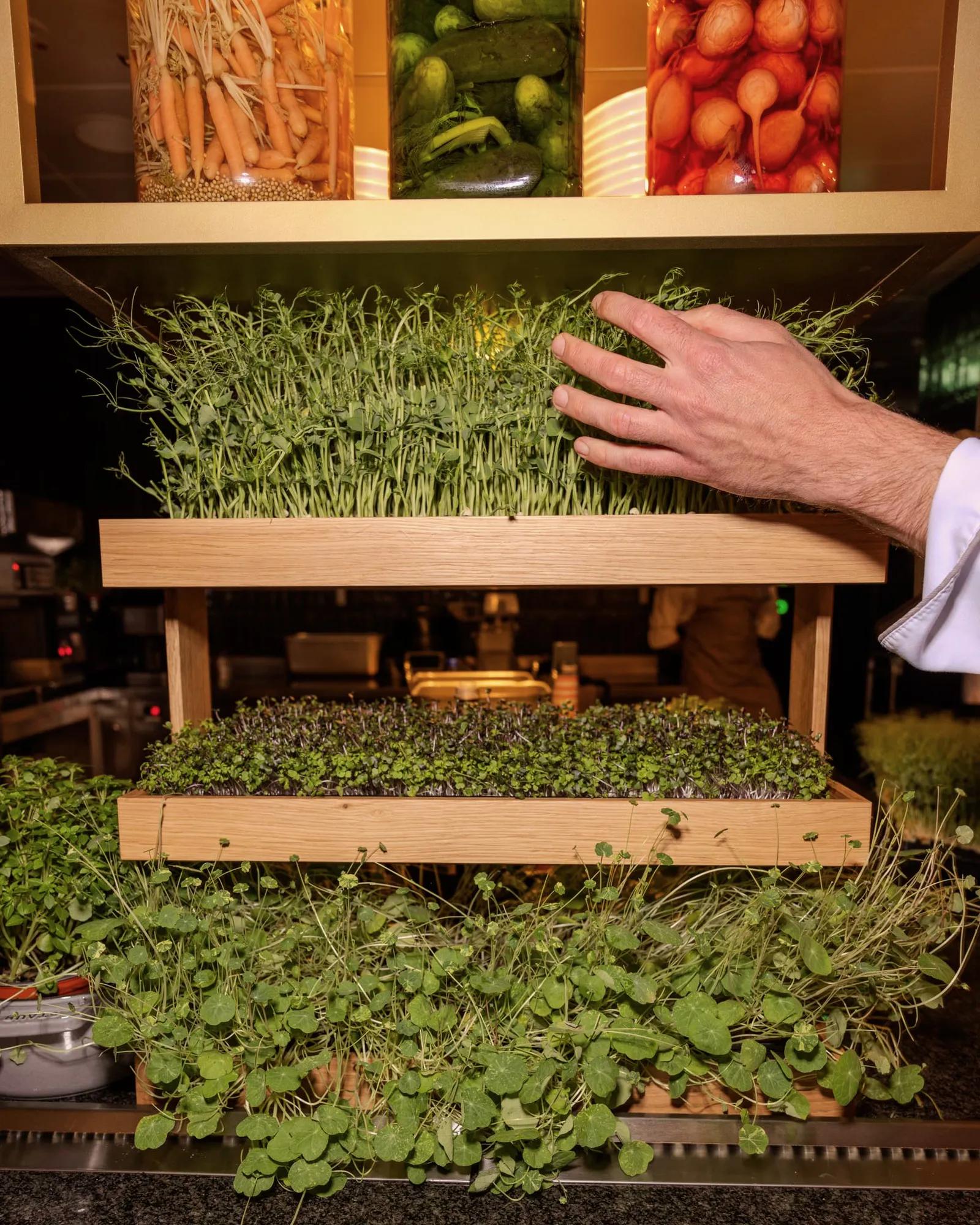 Refreshed Calling Wellness