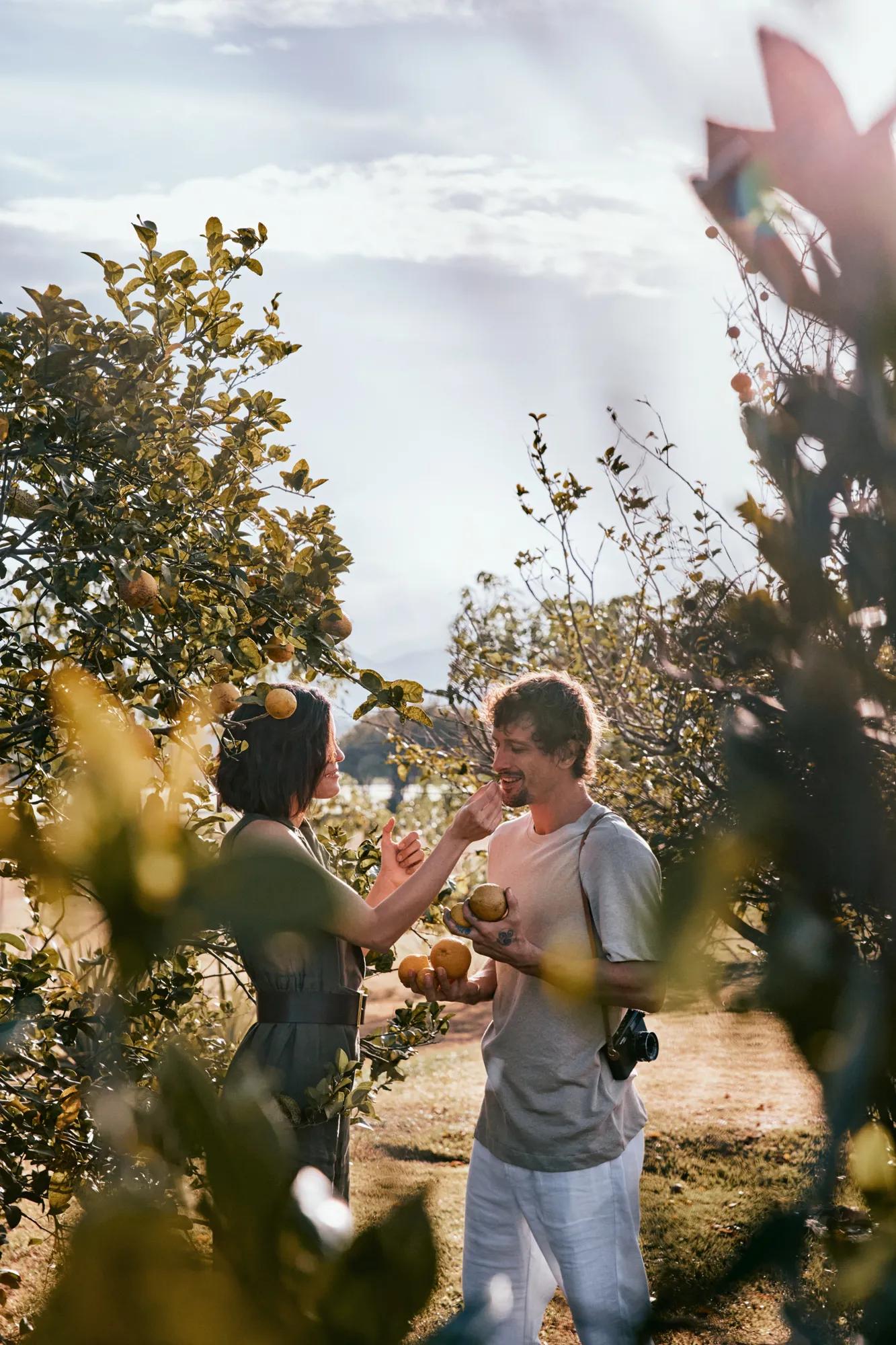 Couple picking lemons from a lemon tree in a lush garden setting