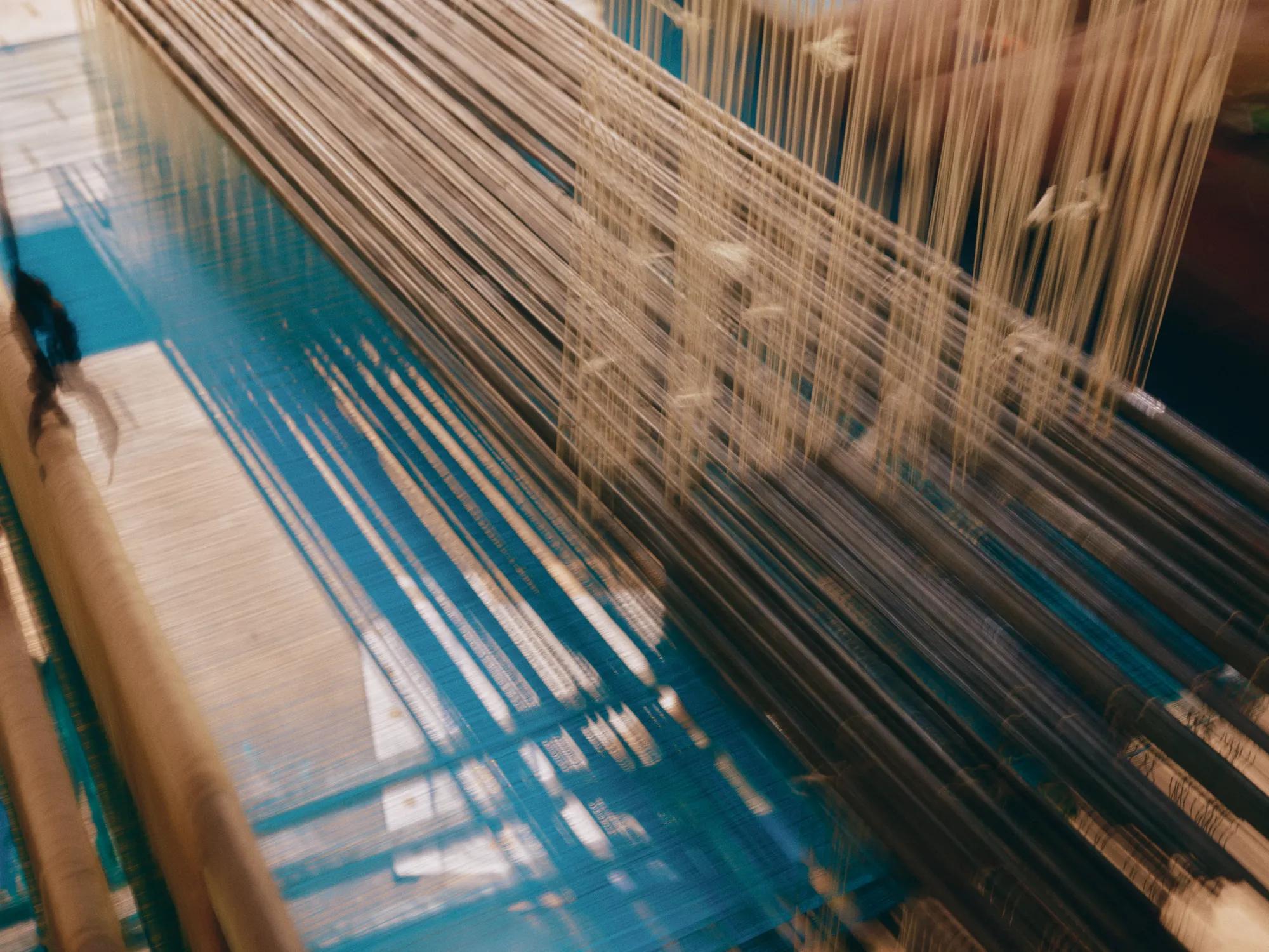 The Weavers of Silk Island