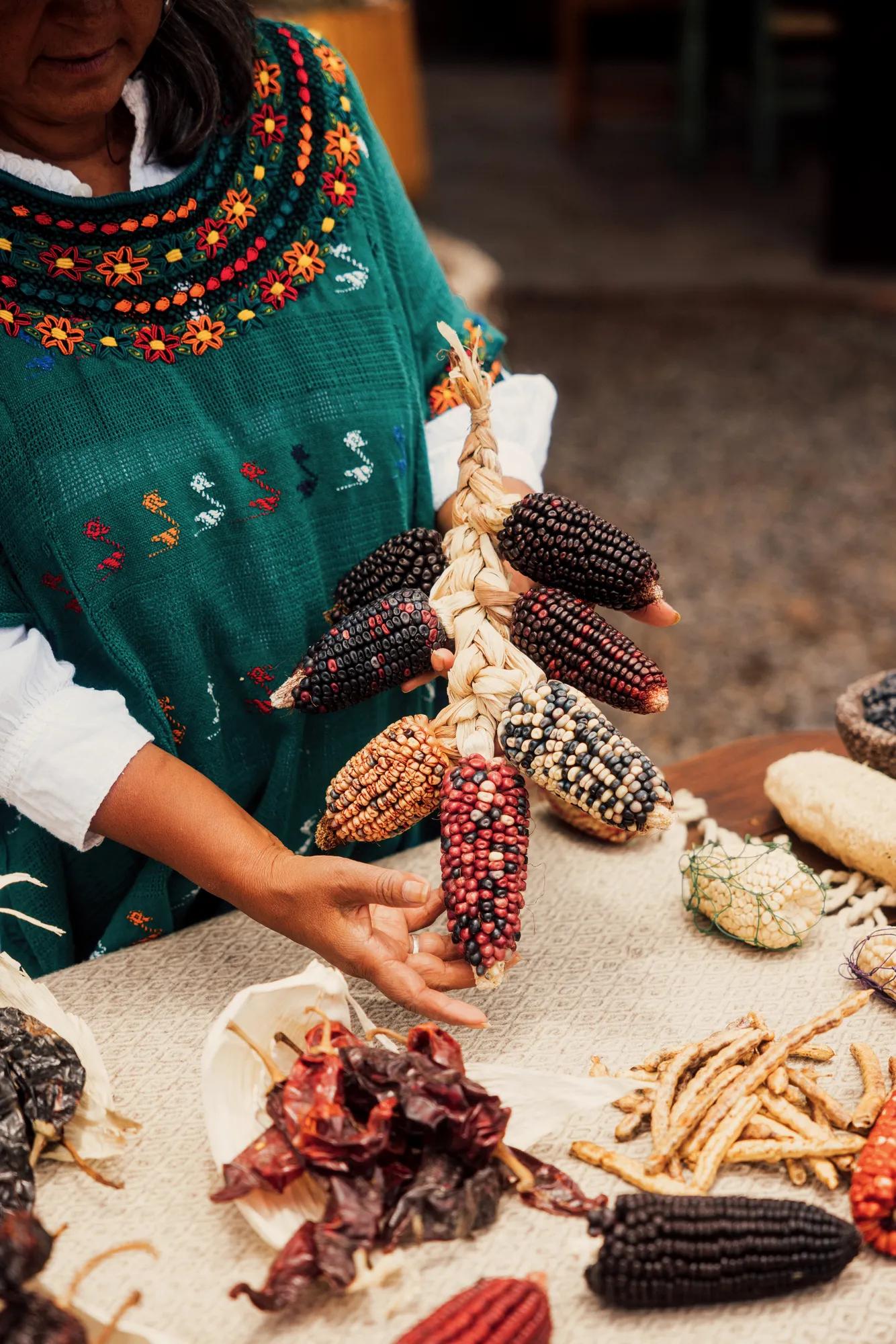 A woman wearing colorful embroidered clothing holds a dry corn cob with purple hues, above a table covered with a cloth, dried chiles, and more corn cobs.