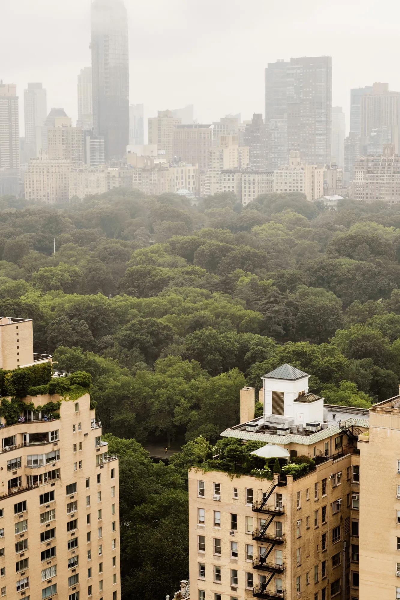 Central Park from the view of The Carlyle Art Deco Tour on the Upper East Side. 