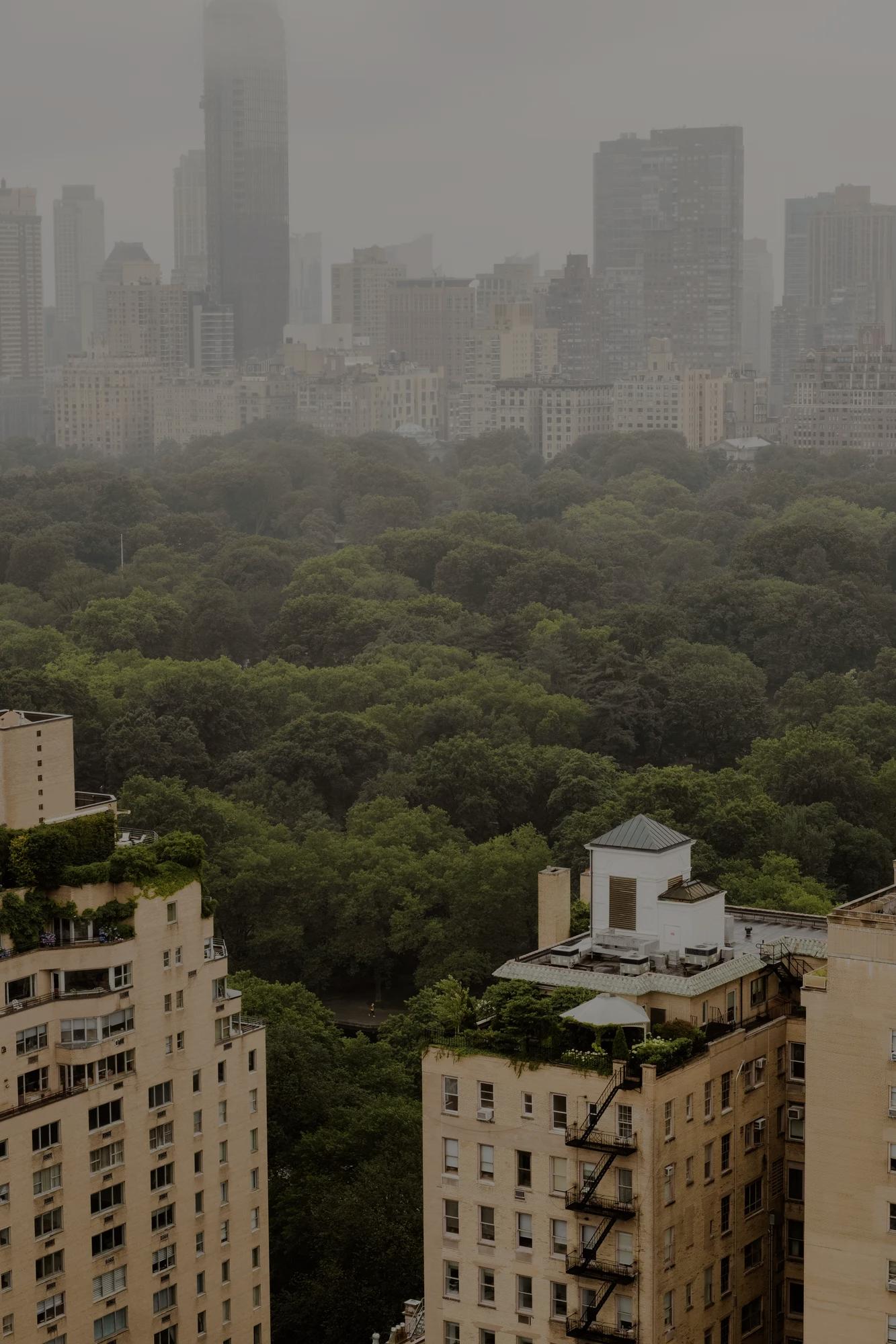 Lush green central park expanse from the view of The Carlyle hotel. 