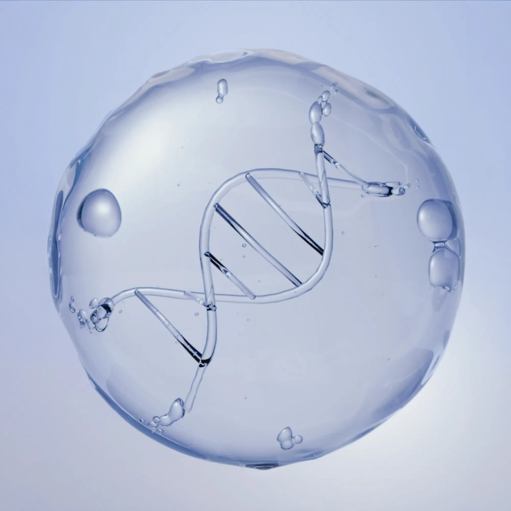 Molecule