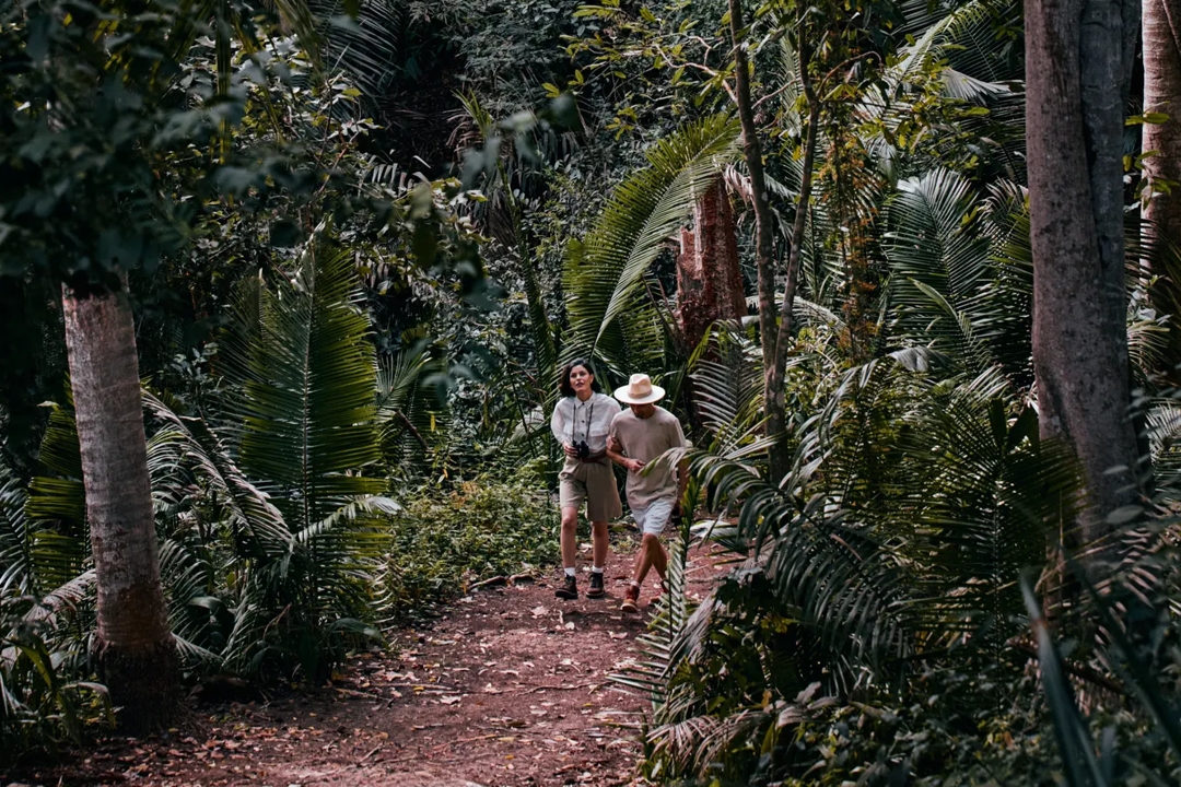 Destination_Lifestyle_Jungle Hike