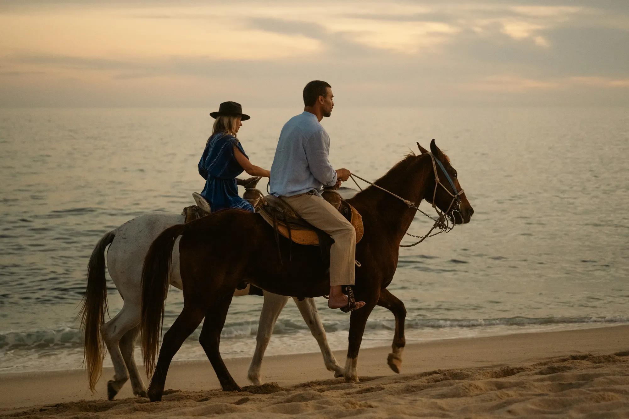 Pristine Los Cabos beach with clean white sand and horses walking along the sea