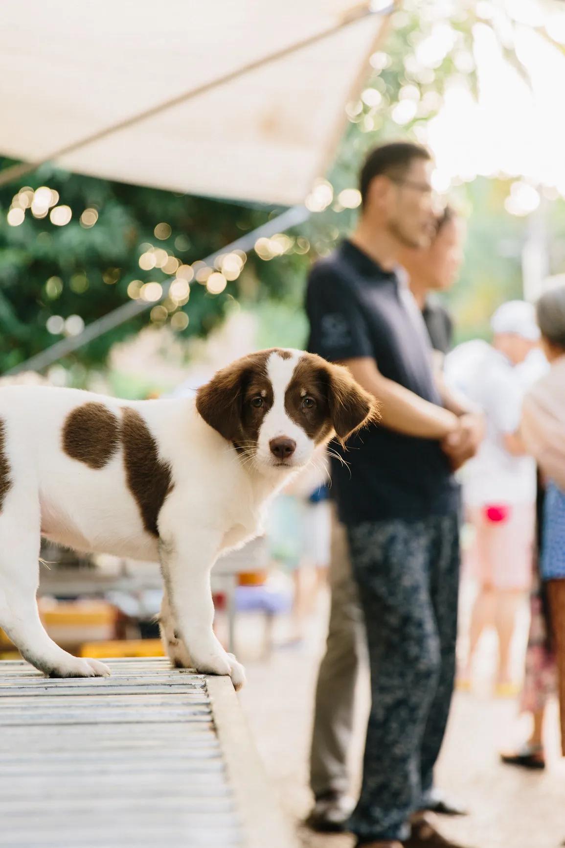 Eco-friendly luxury resort phuket