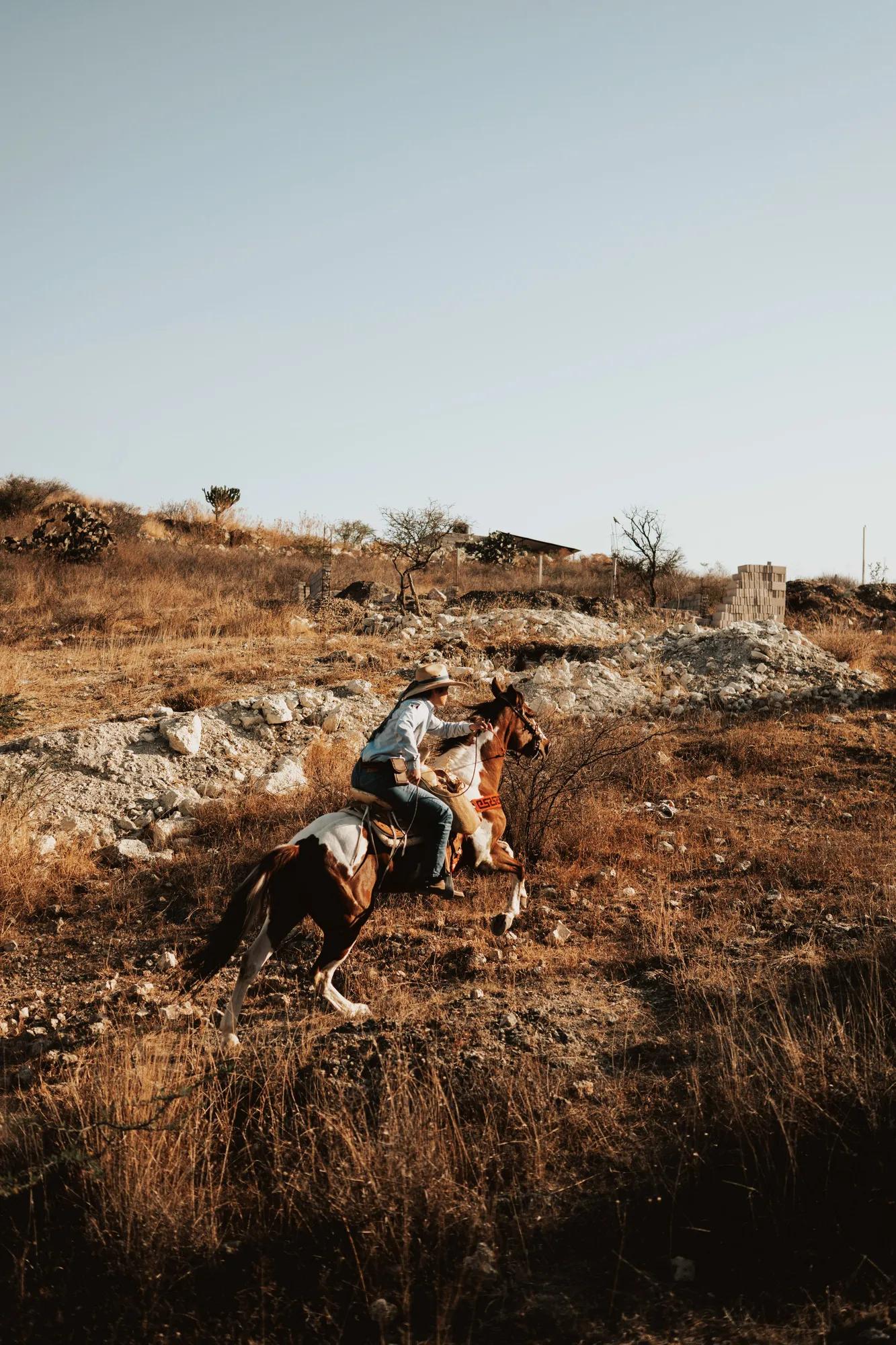 Rider on a brown and white horse crossing the countryside, wearing a hat, jeans, and boots under the San Miguel sun.