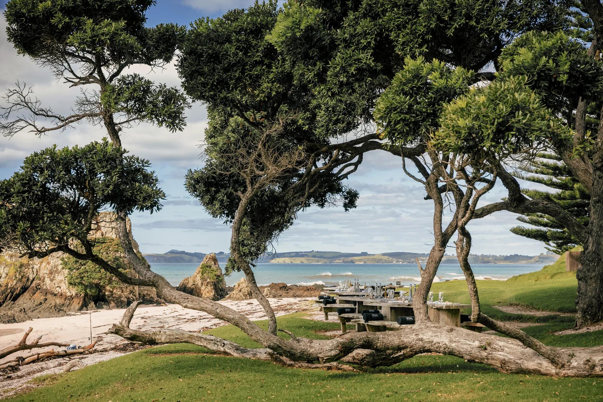 Outdoor dining setup with wooden tables on a grassy lawn beside a private beach, framed by pōhutukawa trees.