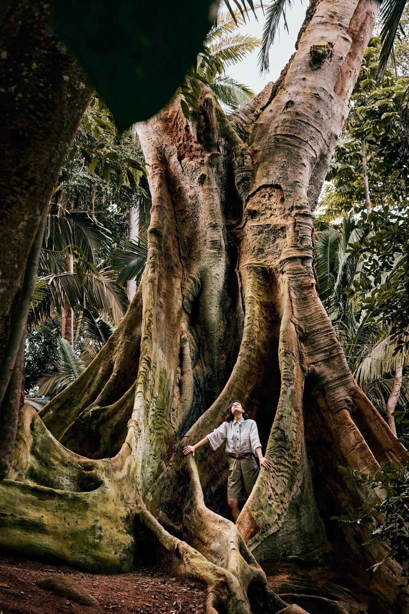 Destination_Lifestyle_Jungle Hike