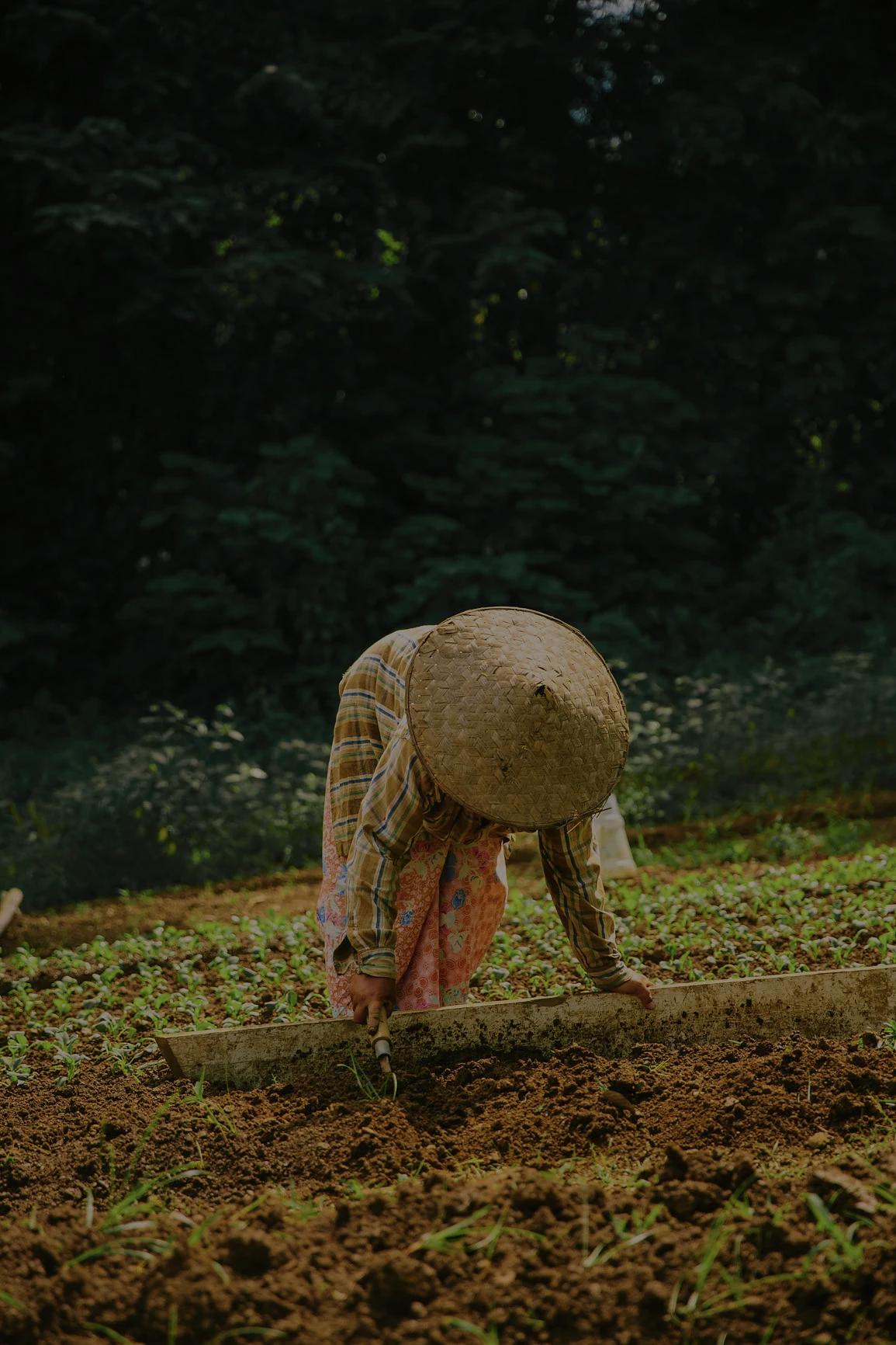 organic planting