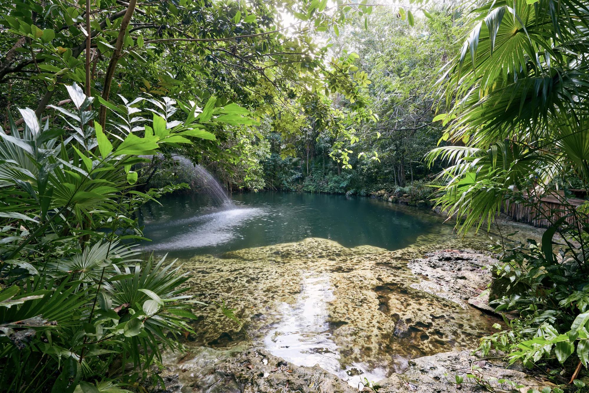 Cenote at Sense, A Rosewood Spa