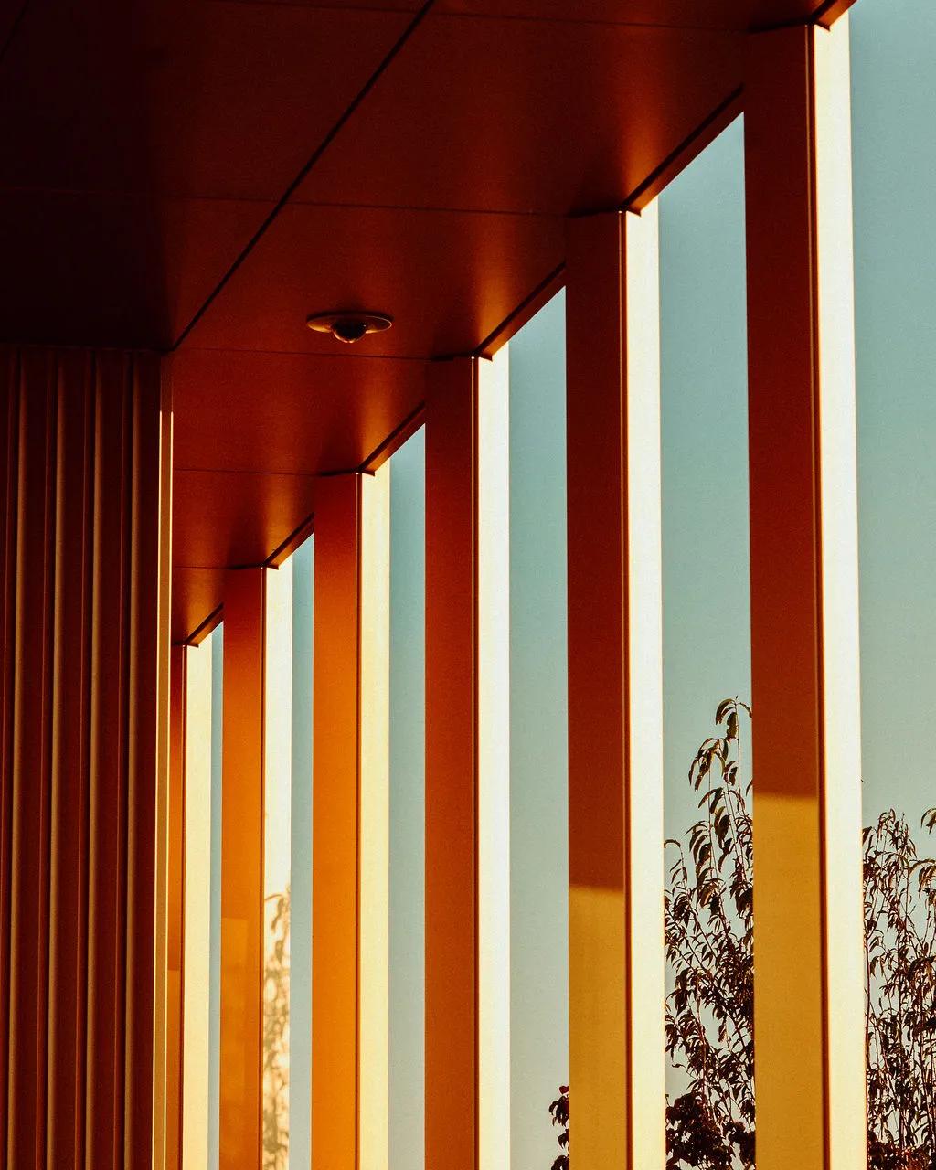 The Chancery Rosewood