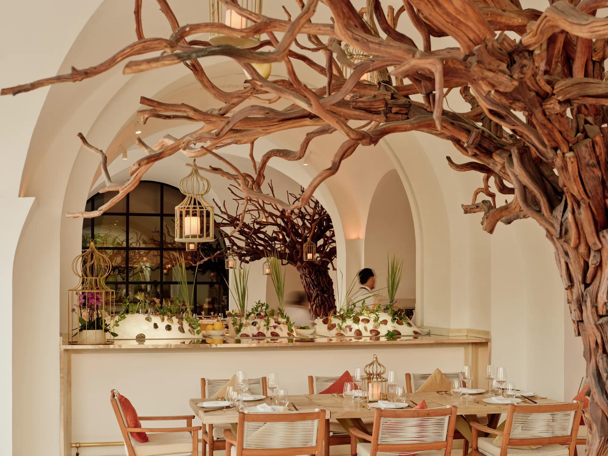 Arbol Restaurant