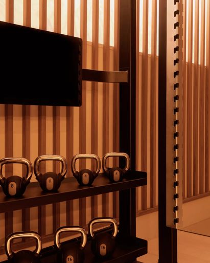 Wellness Asaya Fitness Center