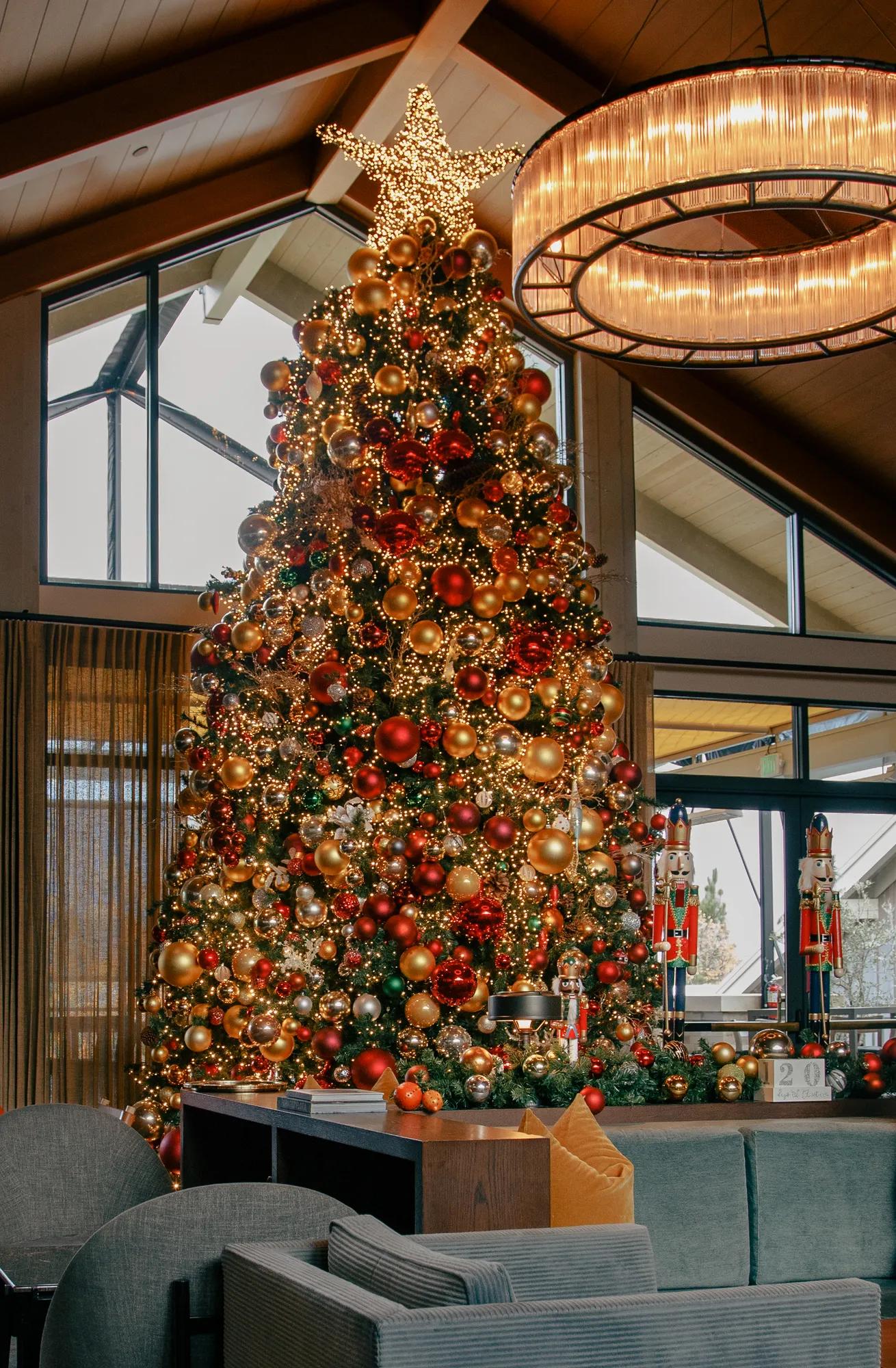 Festive Setup The Library