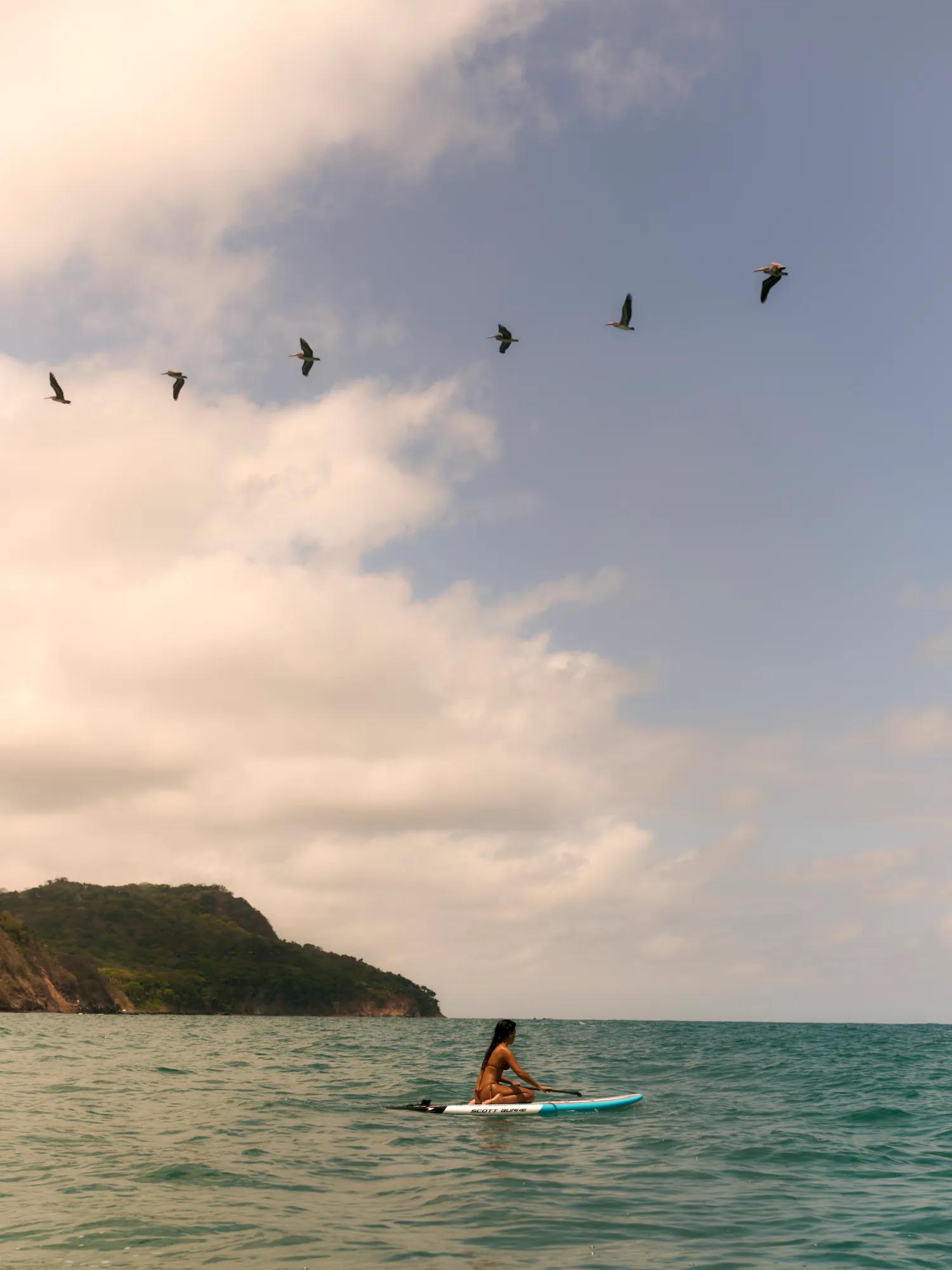 Surfing in the ocean