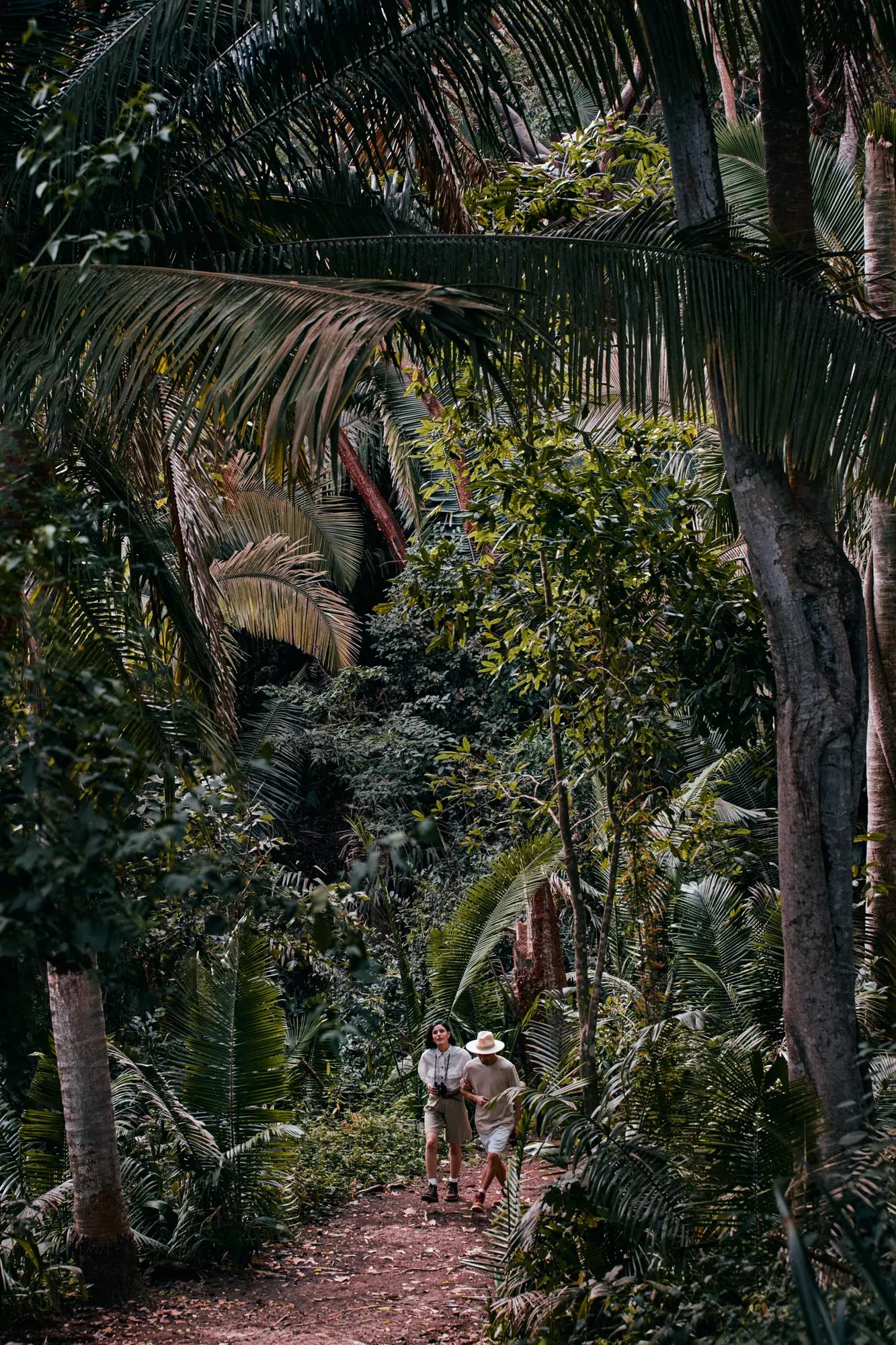 RWMDR_Destination_Lifestyle_Jungle-Hike