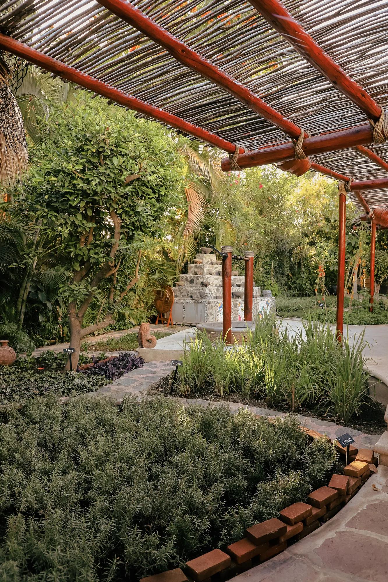 Sustainable garden at las ventanas