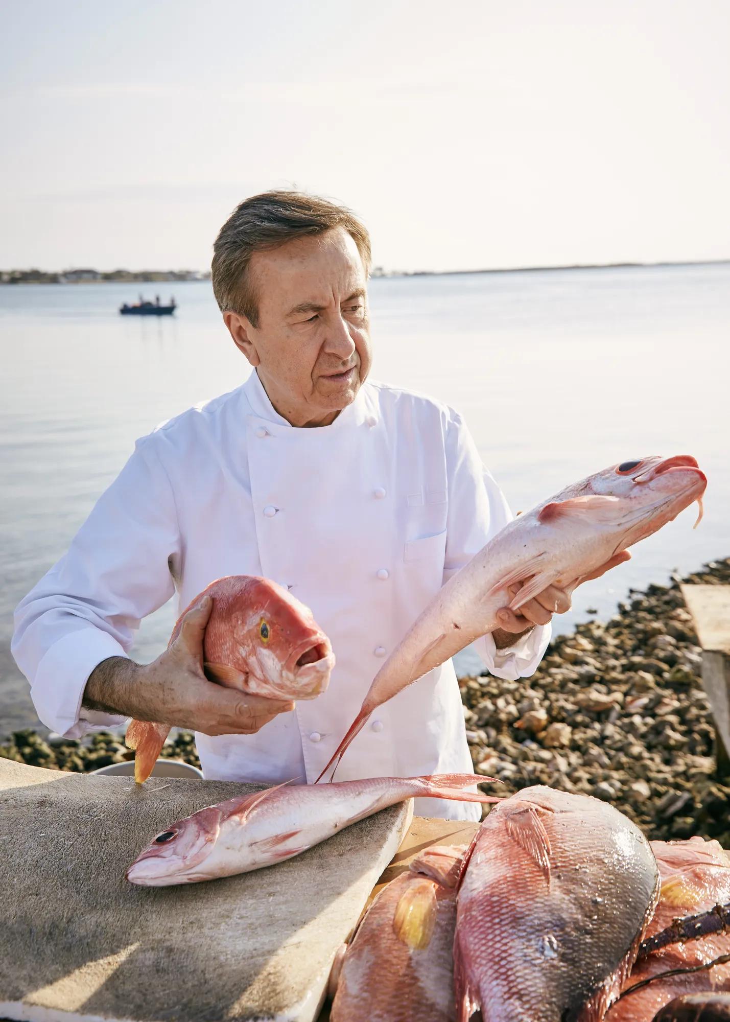 Facilities F B Lifestyle CafeBoulud FishMkt 6