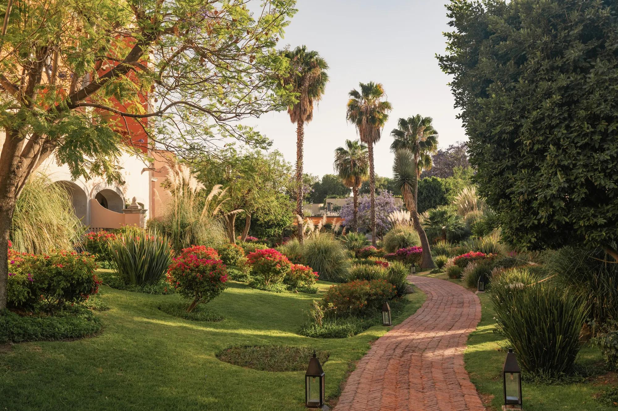 A brick pathway lined with ground lights, surrounded by lush garden beds and flowering trees with purple blooms. 