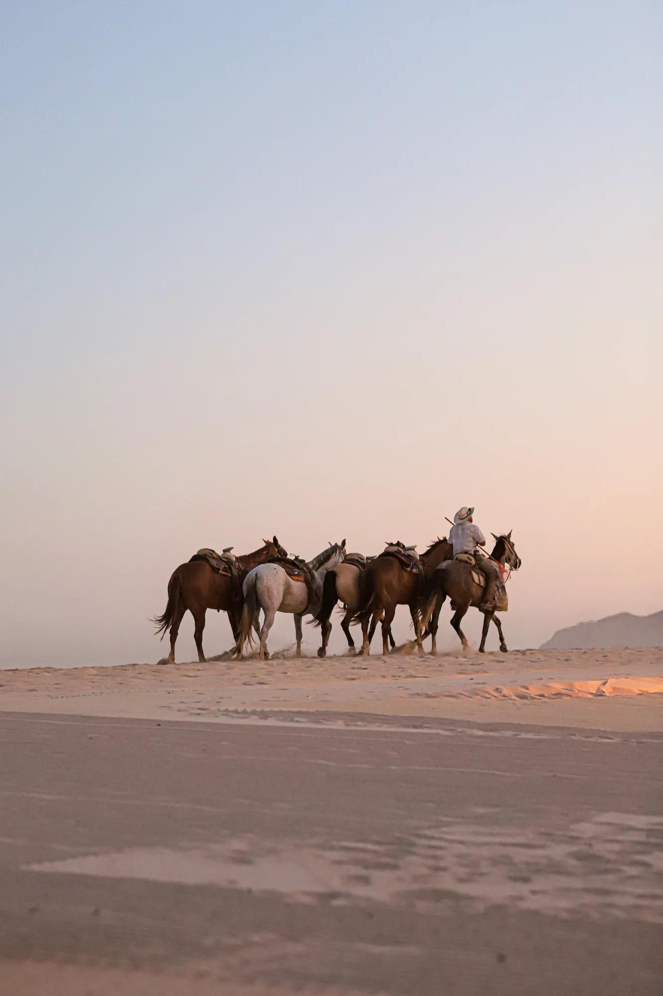 Horseback riding on the Beach