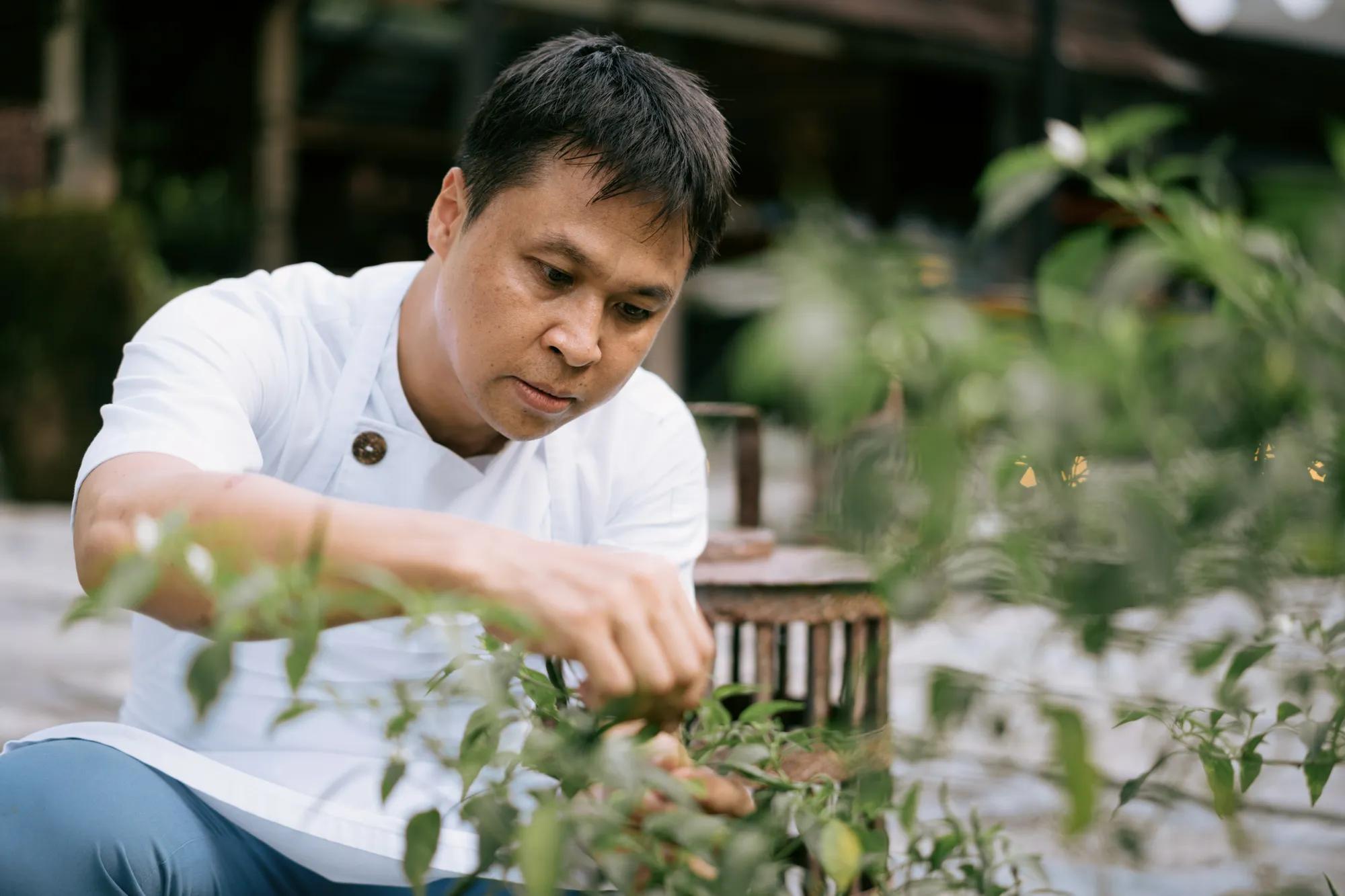 Rosewood phuket sustainable hotel