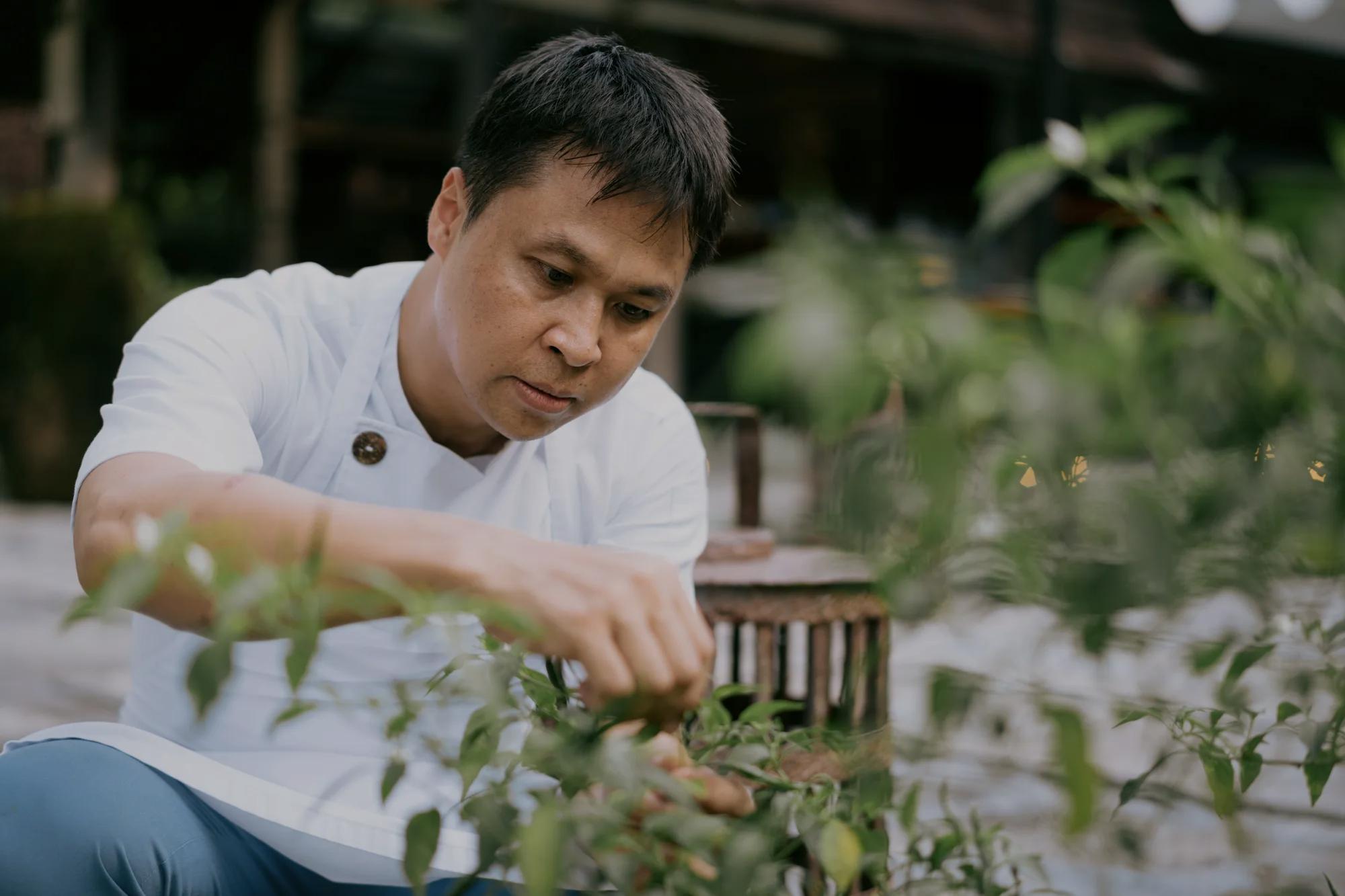 Rosewood phuket sustainable hotel