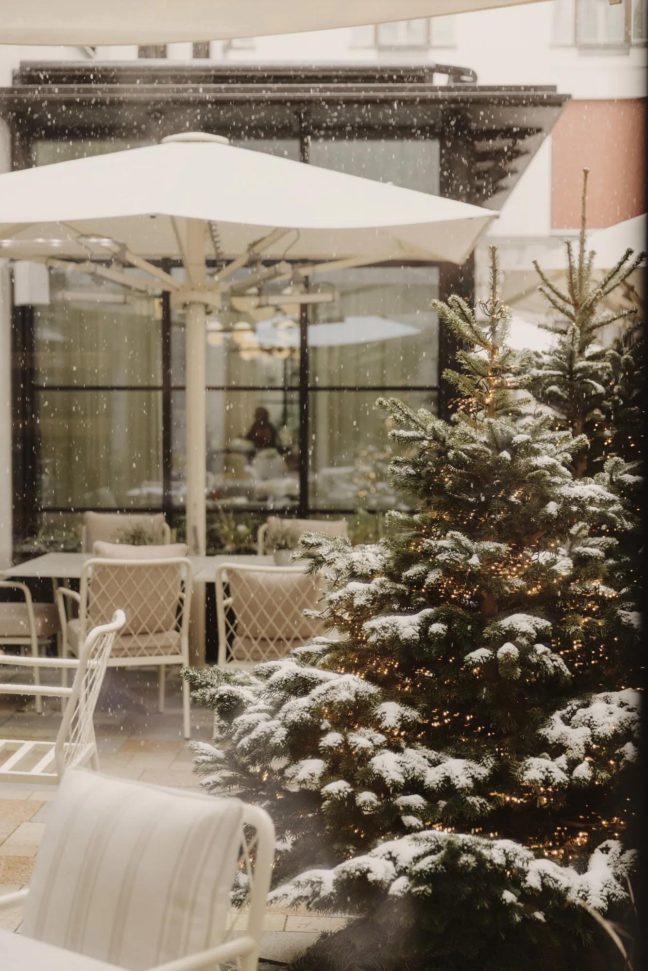 Festive Palaishof Amelie Niederbuchner