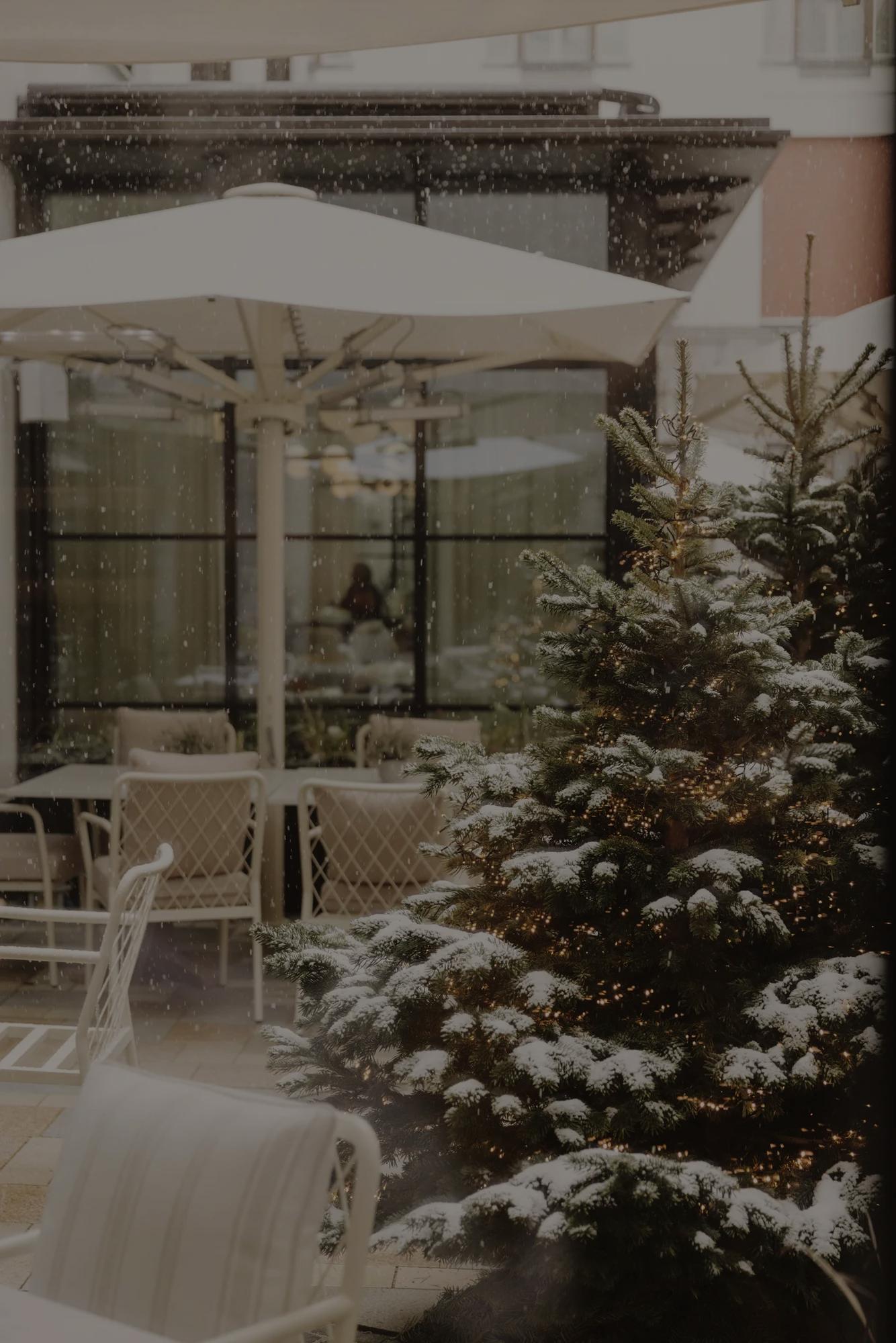 Festive Palaishof Amelie Niederbuchner