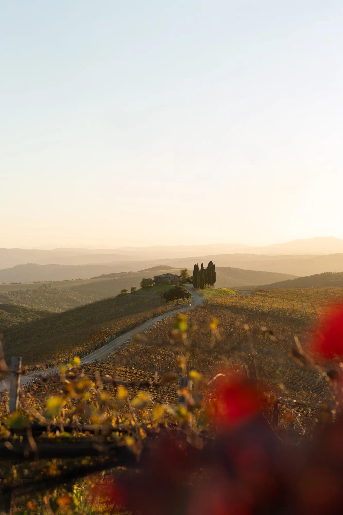December Tuscan Escape | Castiglion del Bosco