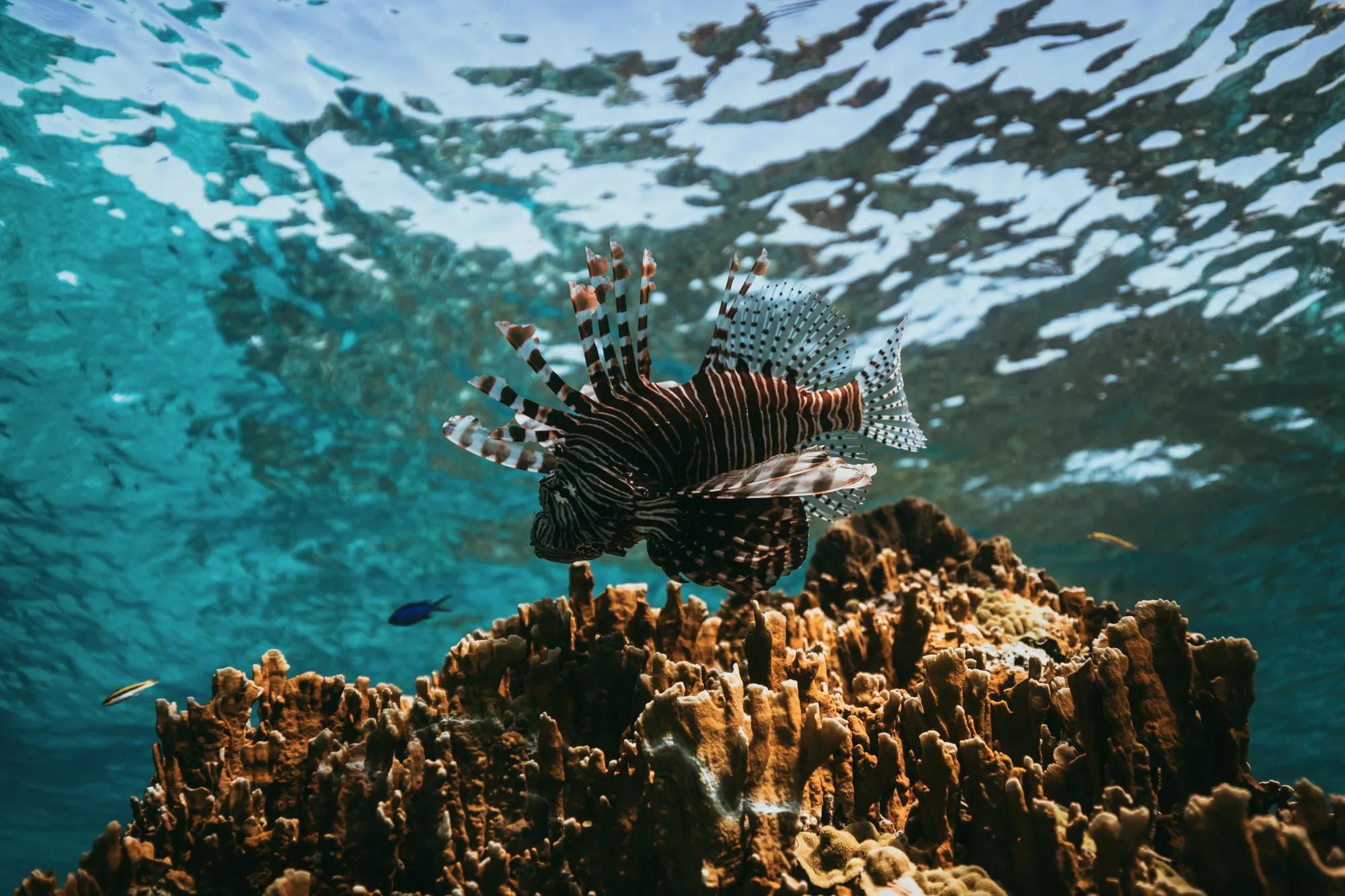 RWImpacts Sustains BREEF 016