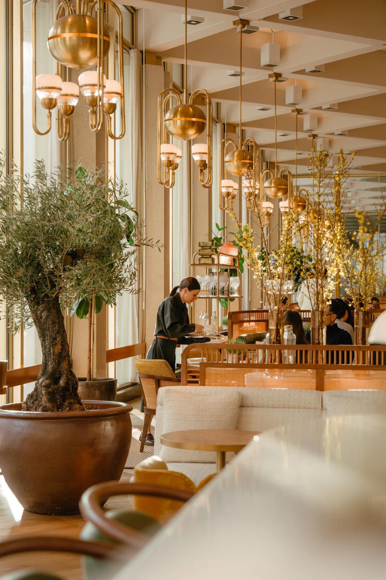 waitress seerving at serra at the chancery rosewood