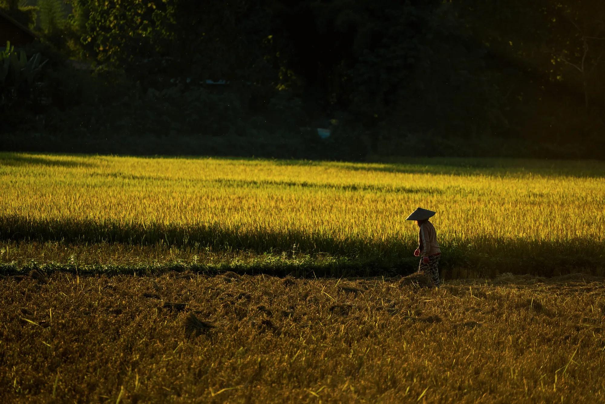 Offers Highlight: More Rosewood​