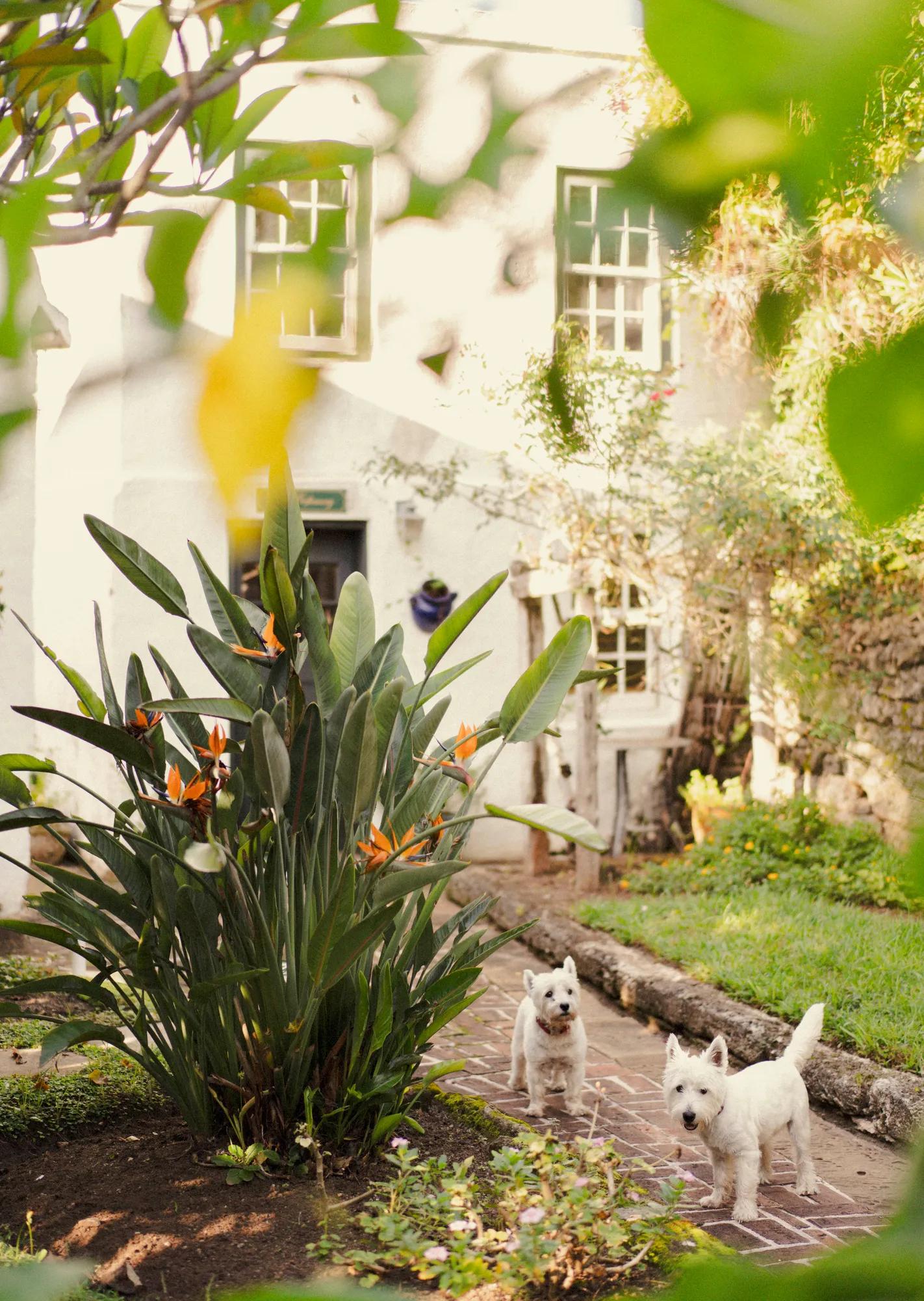 Supporting the local perfumery Lili Bermuda