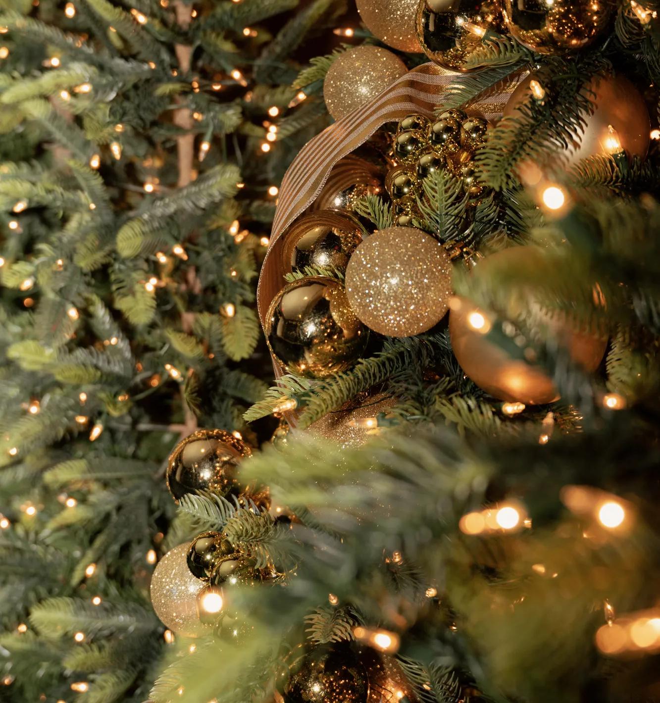 Holiday Decor Jarrod Designs