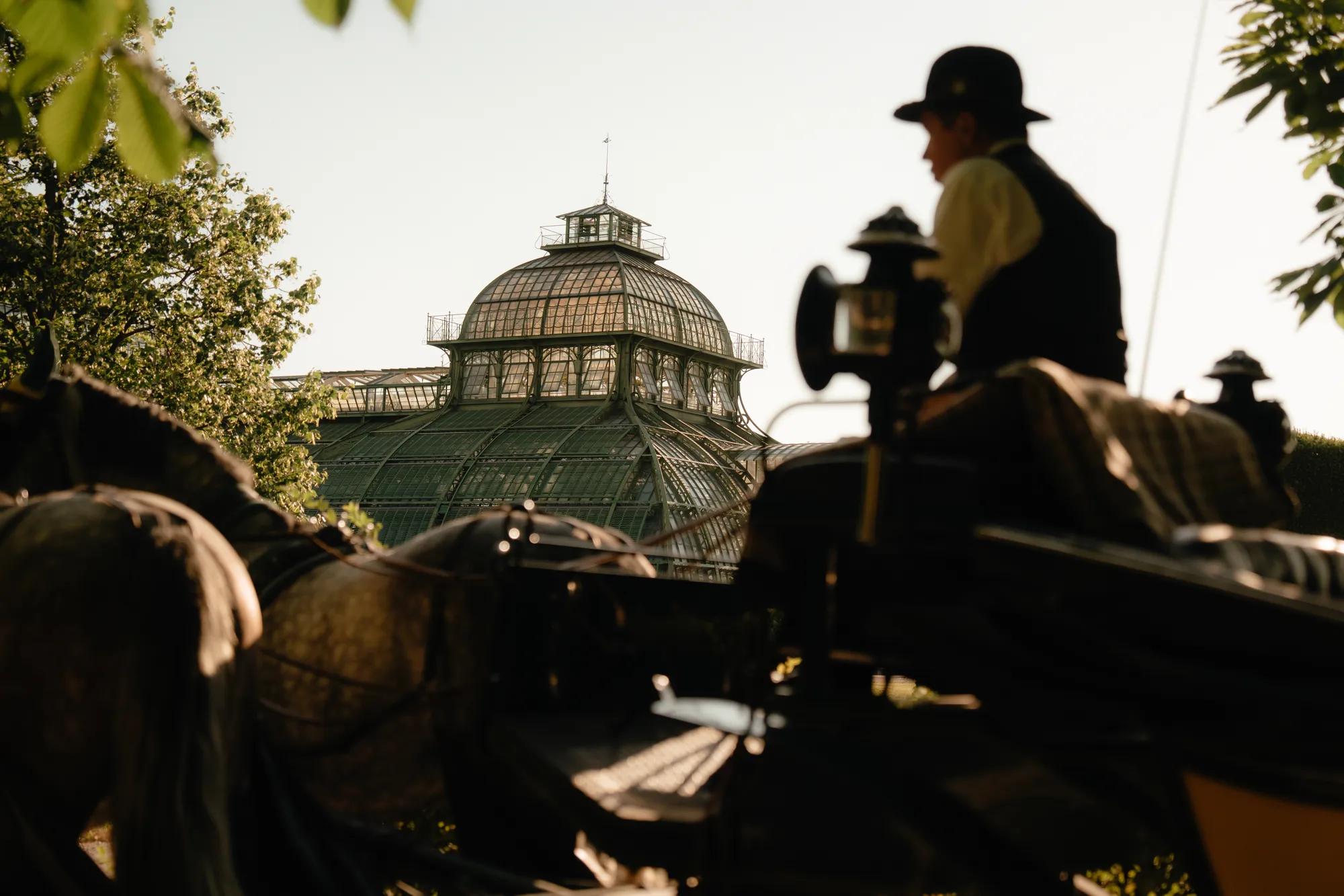 Fiaker, horse ride carriage, in the gardens of schönbrunn