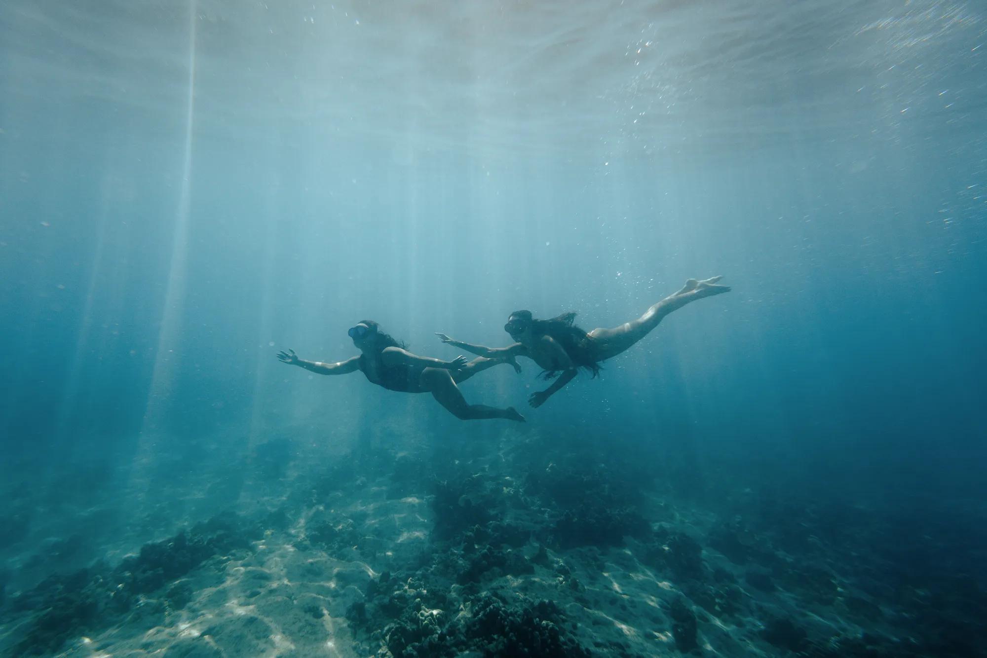 Two individuals swimming under the blue water