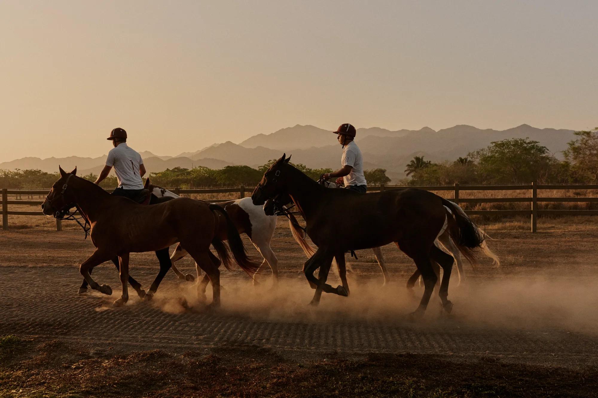 Guests looking out to the Mandarina Polo field