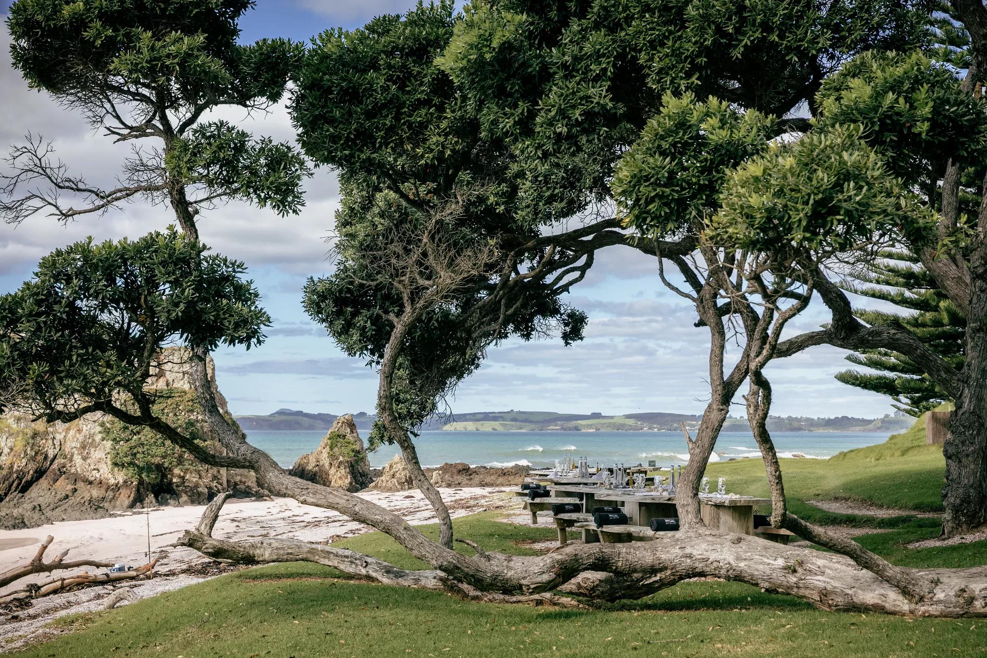 Outdoor dining set up at Pink Beach including two wooden tables nicely set with fresh flowers, framed by Pohutukawa trees with the backdrop of the pink sand beach and the ocean.
