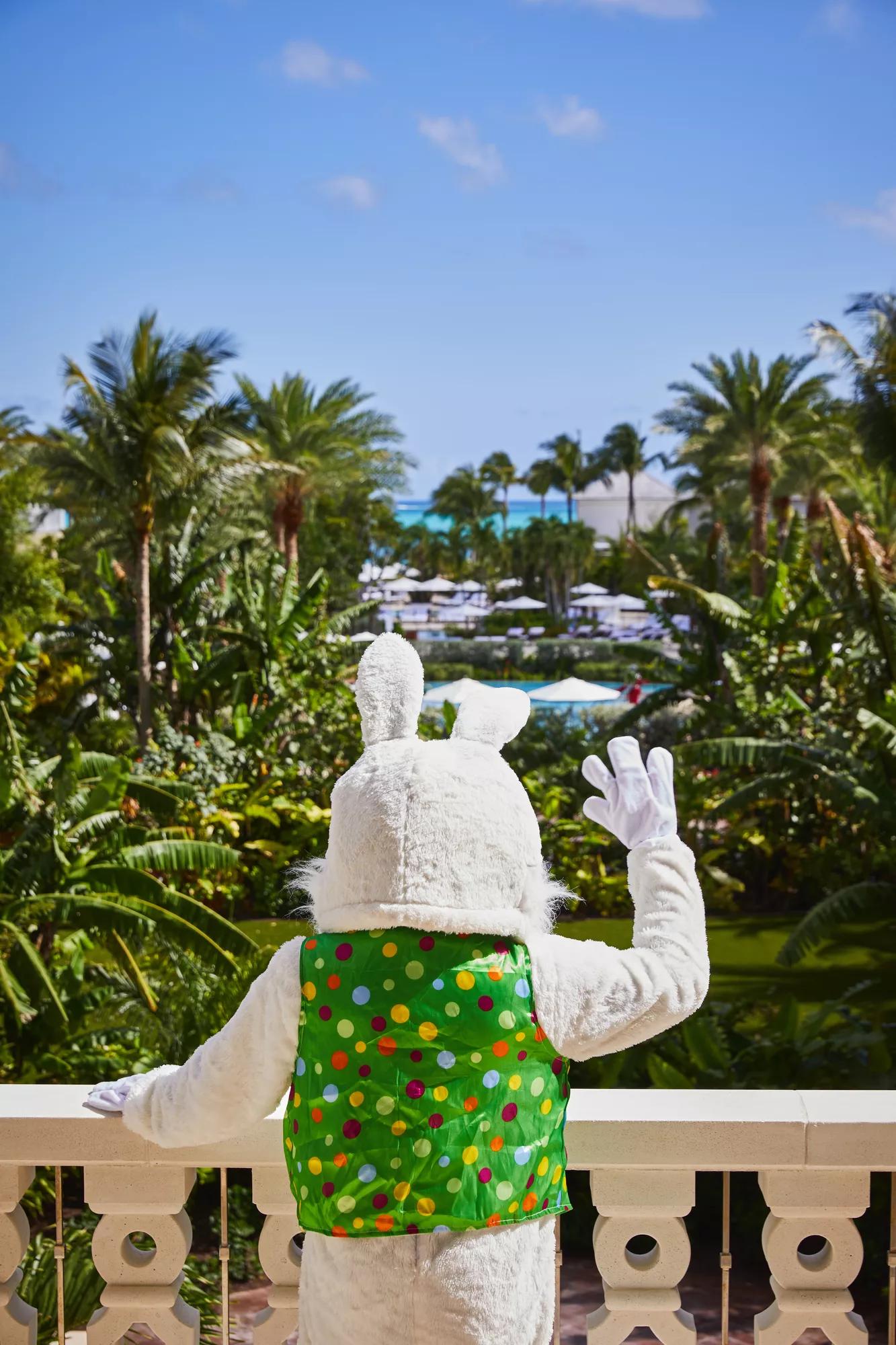 Costa valentines day