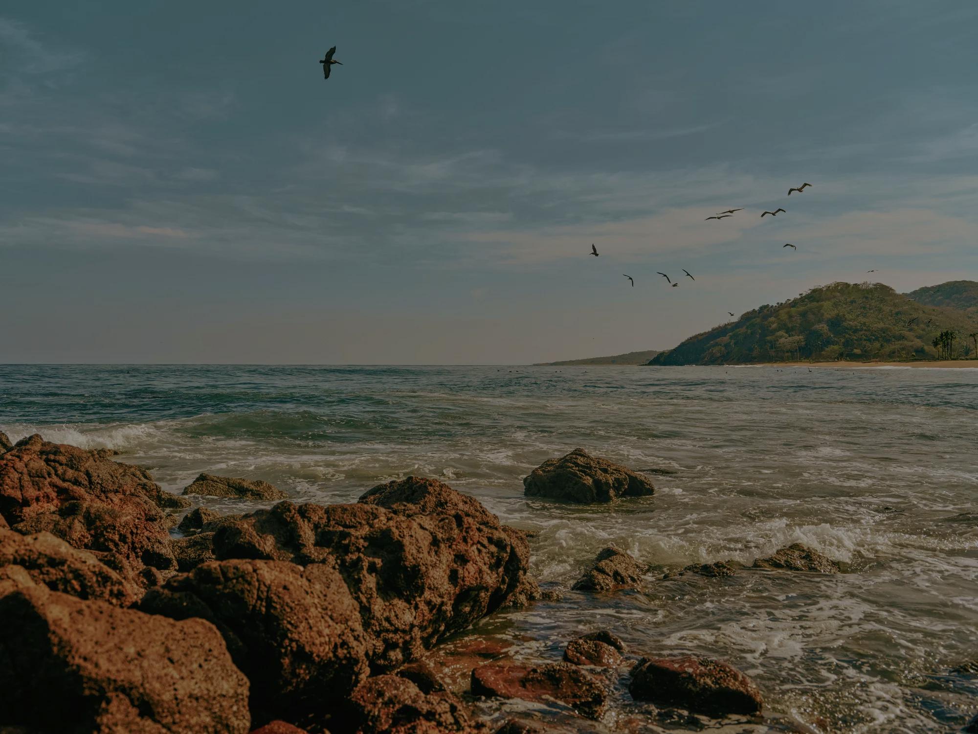 Ocean and birds flying on top o the water and mountains