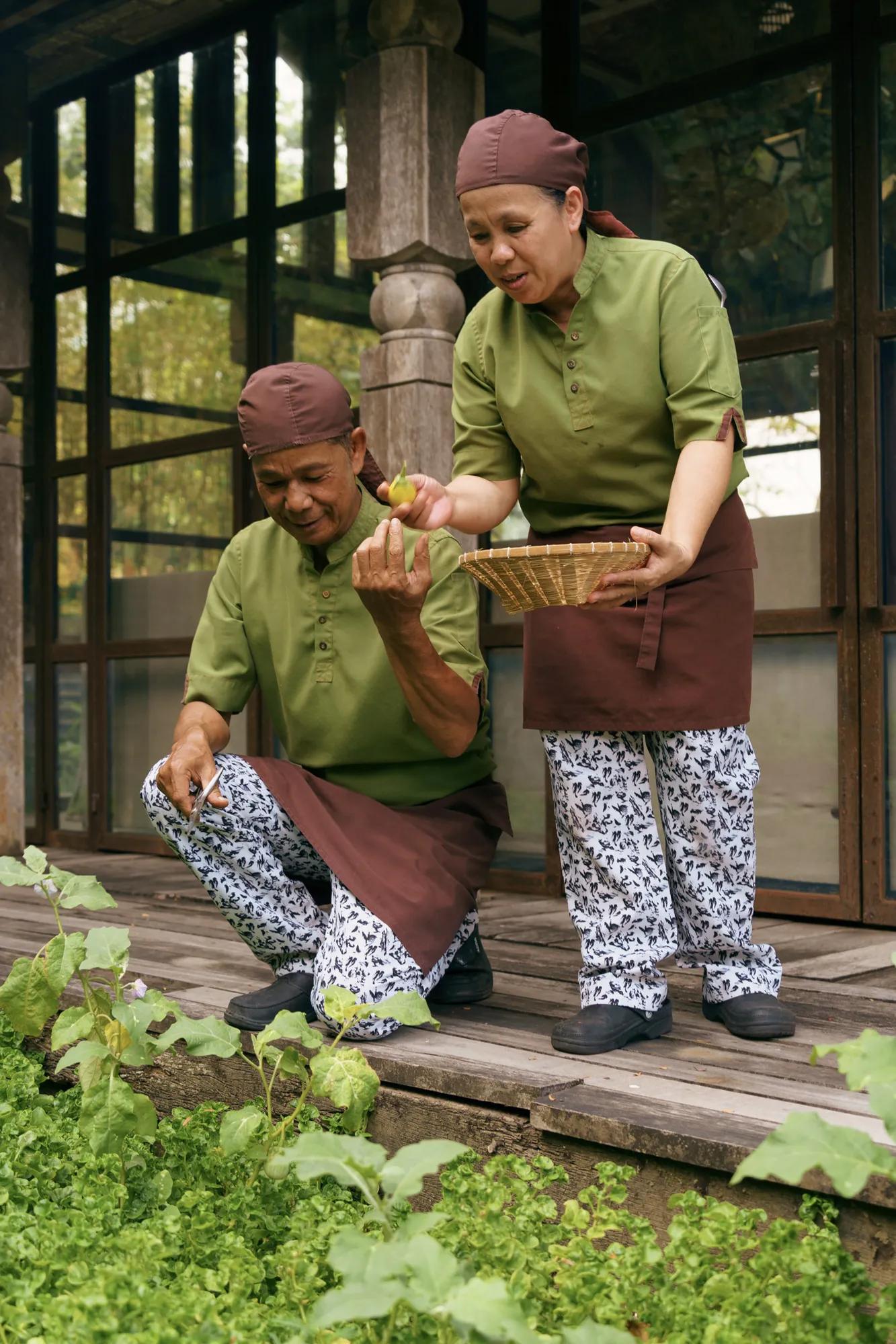 Sustainable dining phuket 