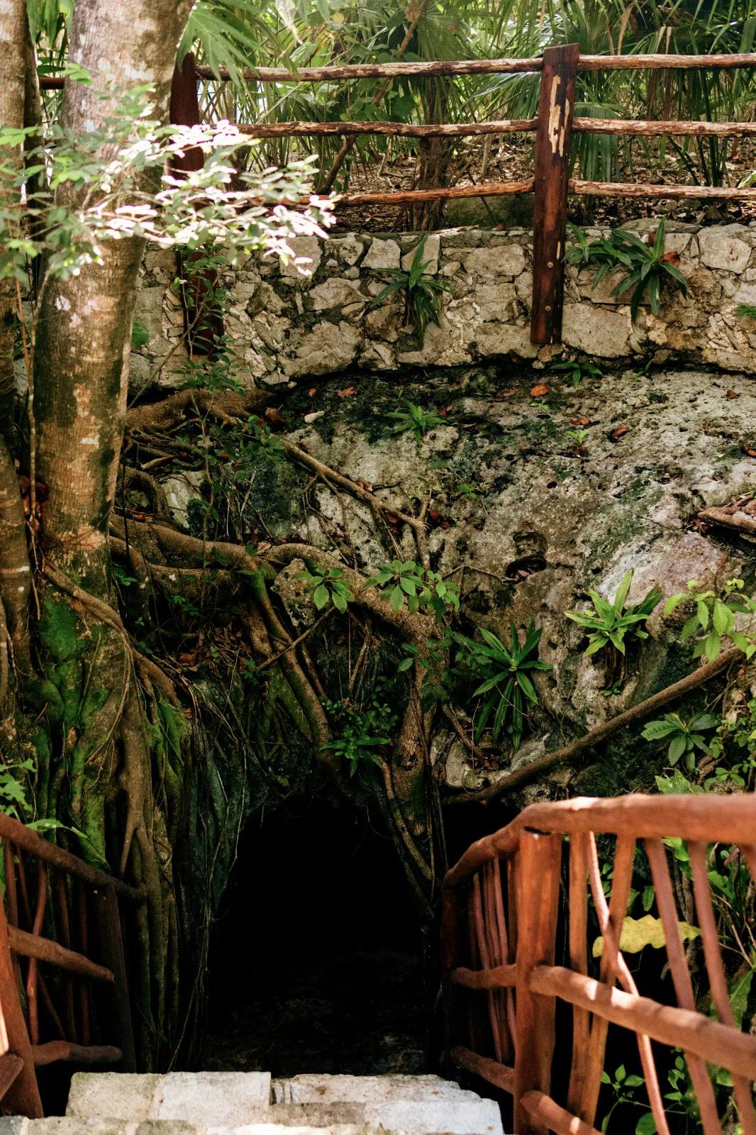 Mayakoba Experiences