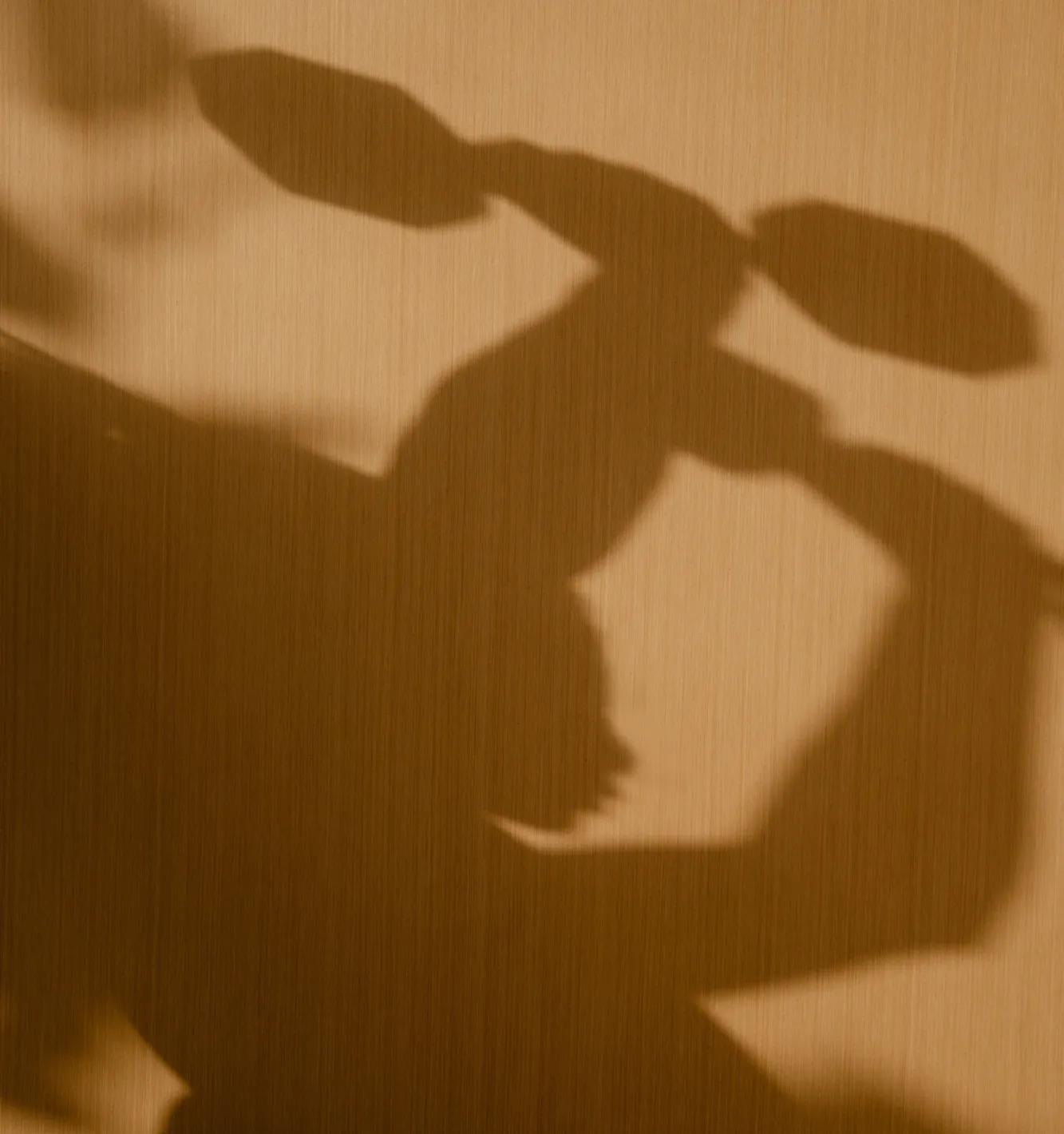 Asaya Ladies' only gym