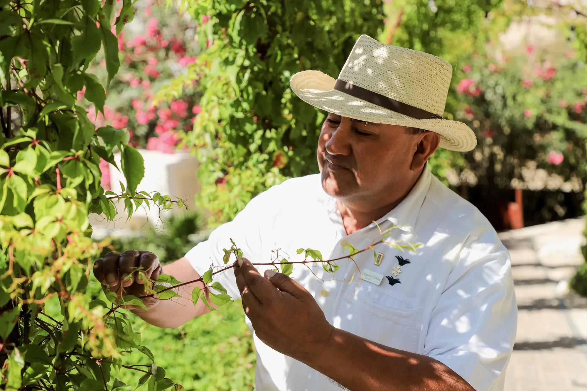 SUSTAINABILITY GREGORIO URBINA