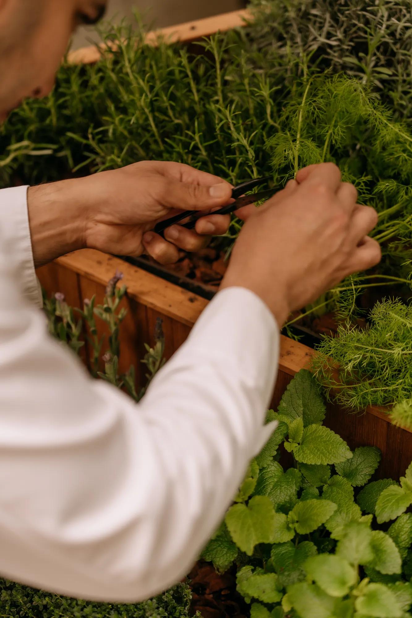 Food Beverage Restaurant Eeuwen Lunch