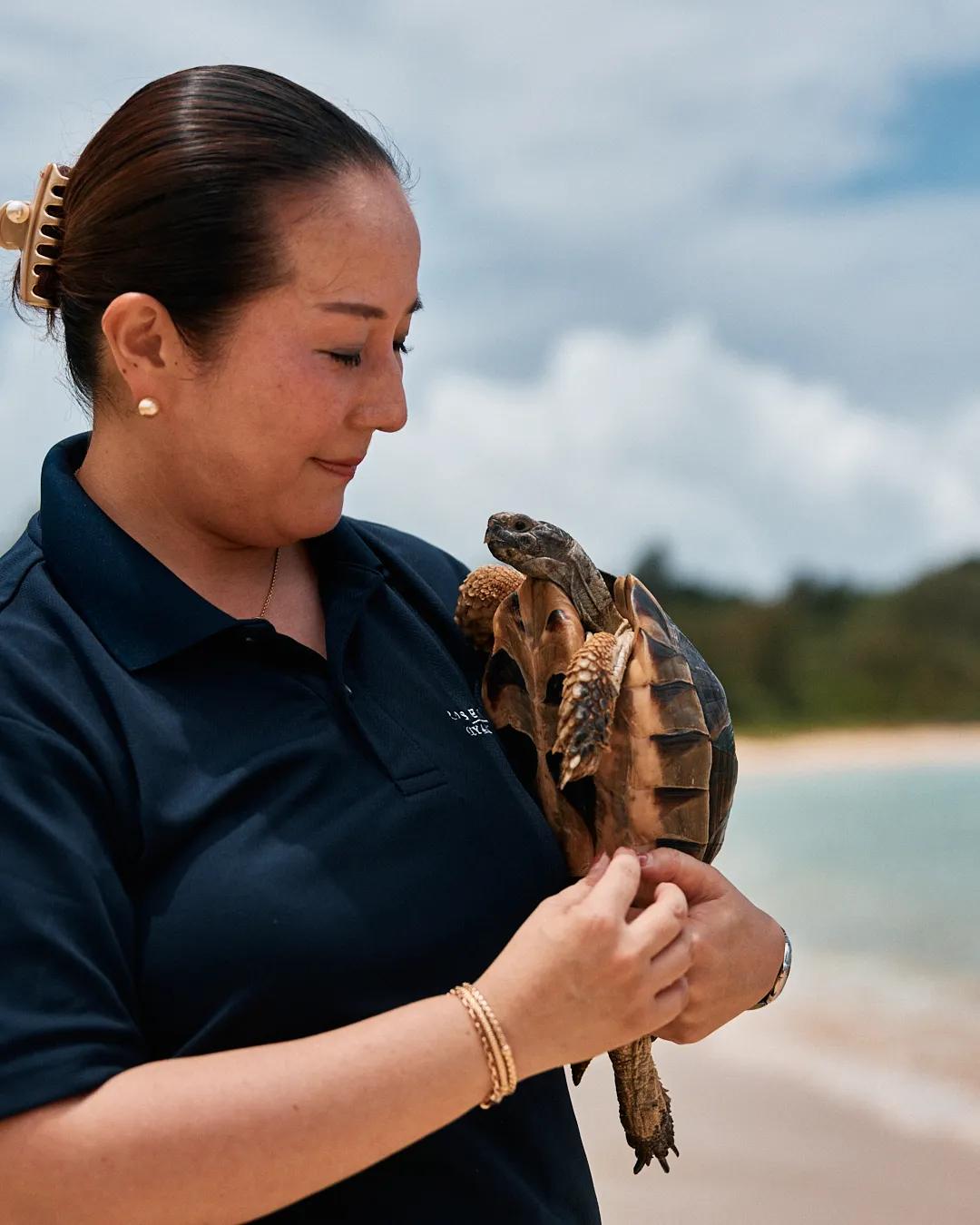 STORIES OF SEA TURTLES